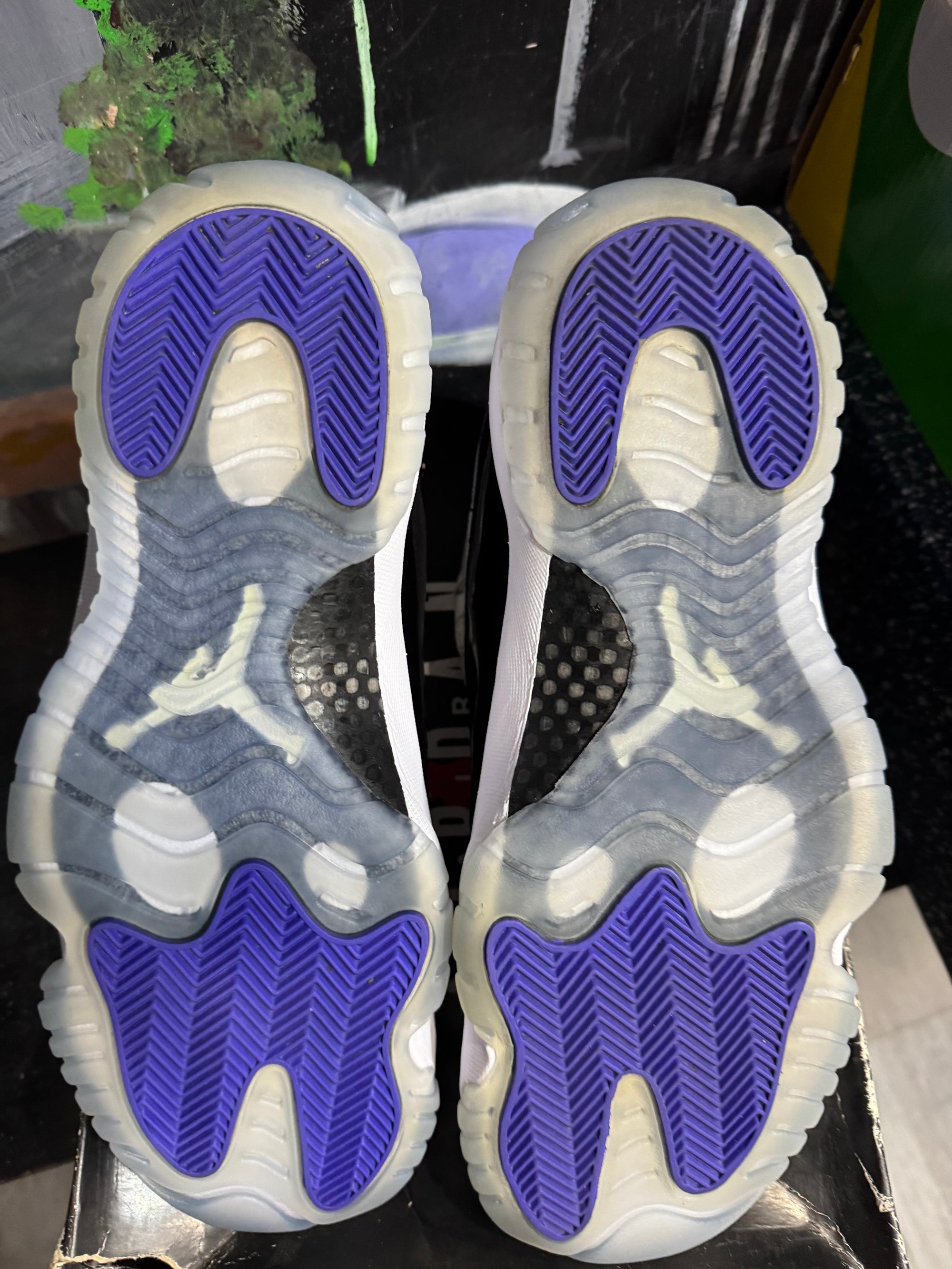 Jordan 11 Retro Concord (2018)