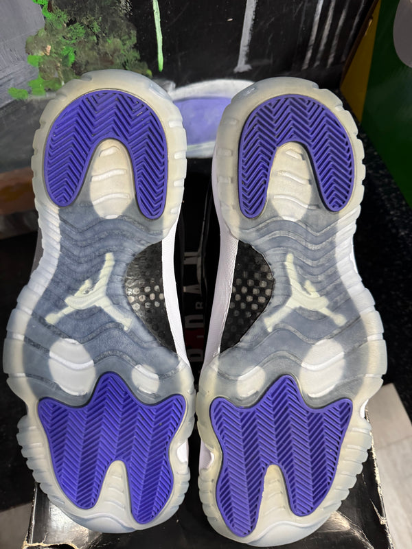 Jordan 11 Retro Concord (2018)