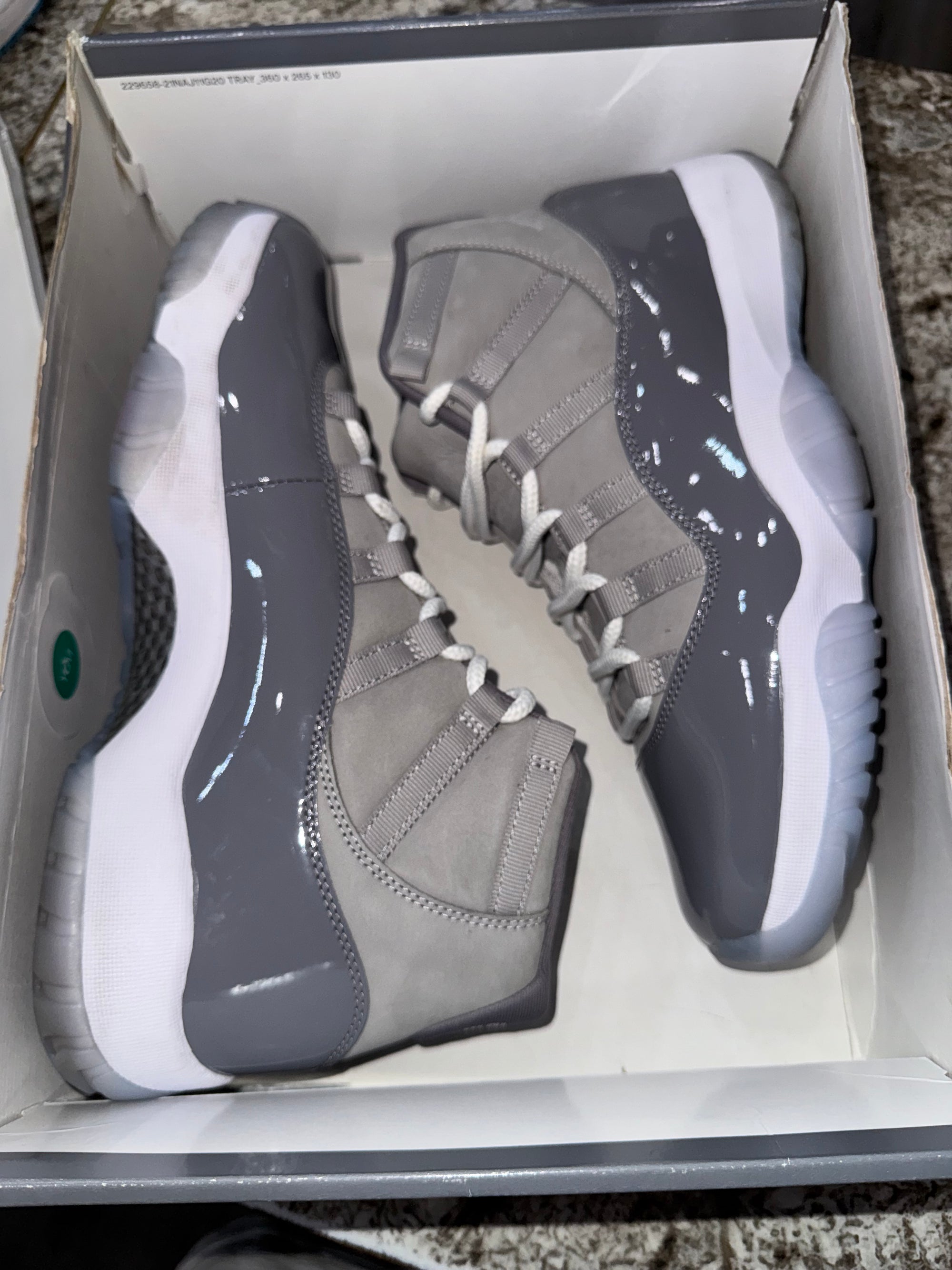 Jordan 11 Retro Cool Grey (2021)