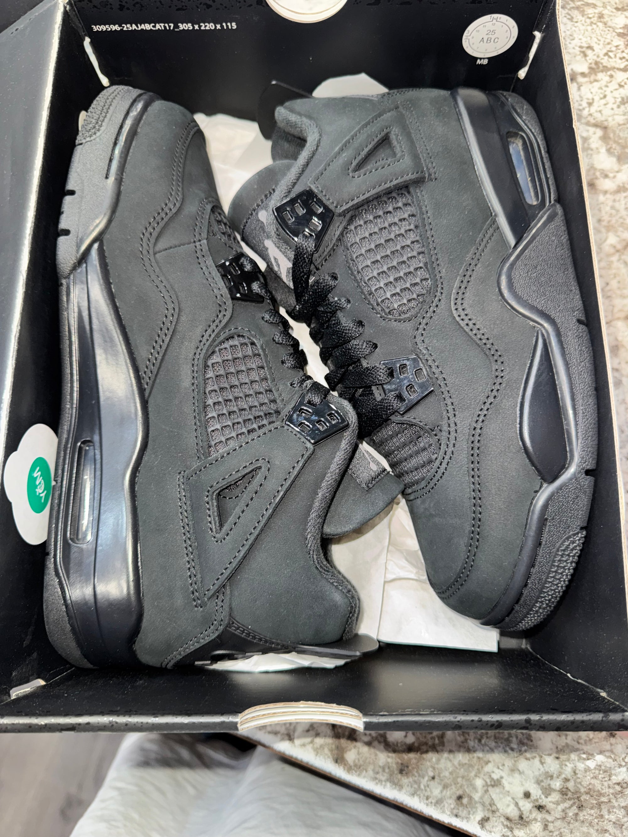 Jordan 4 Retro Black Cat (2025) (GS)