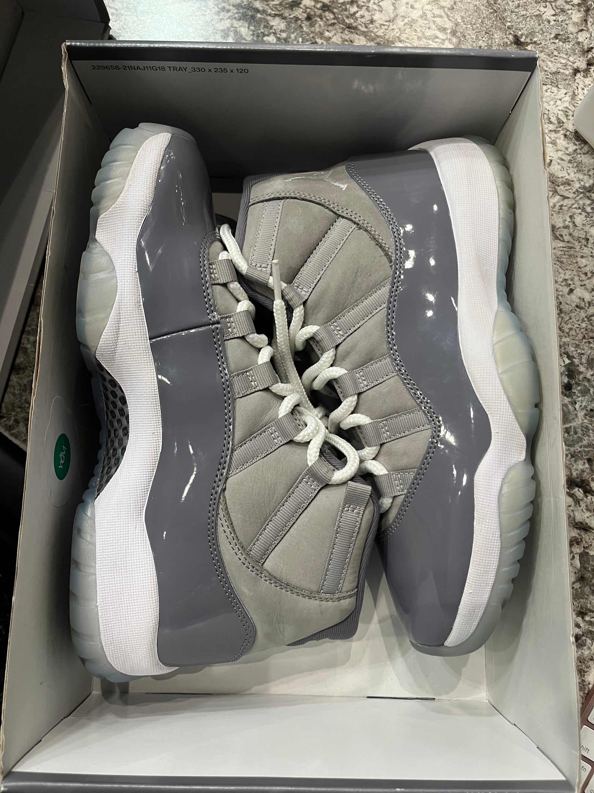 Jordan 11 Retro Cool Grey (2021)