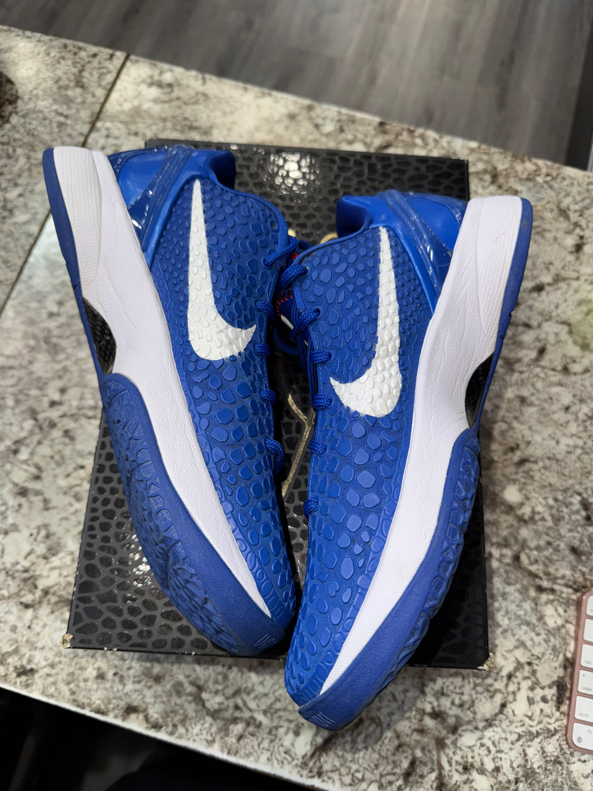 Nike Kobe 6 Protro Dodgers