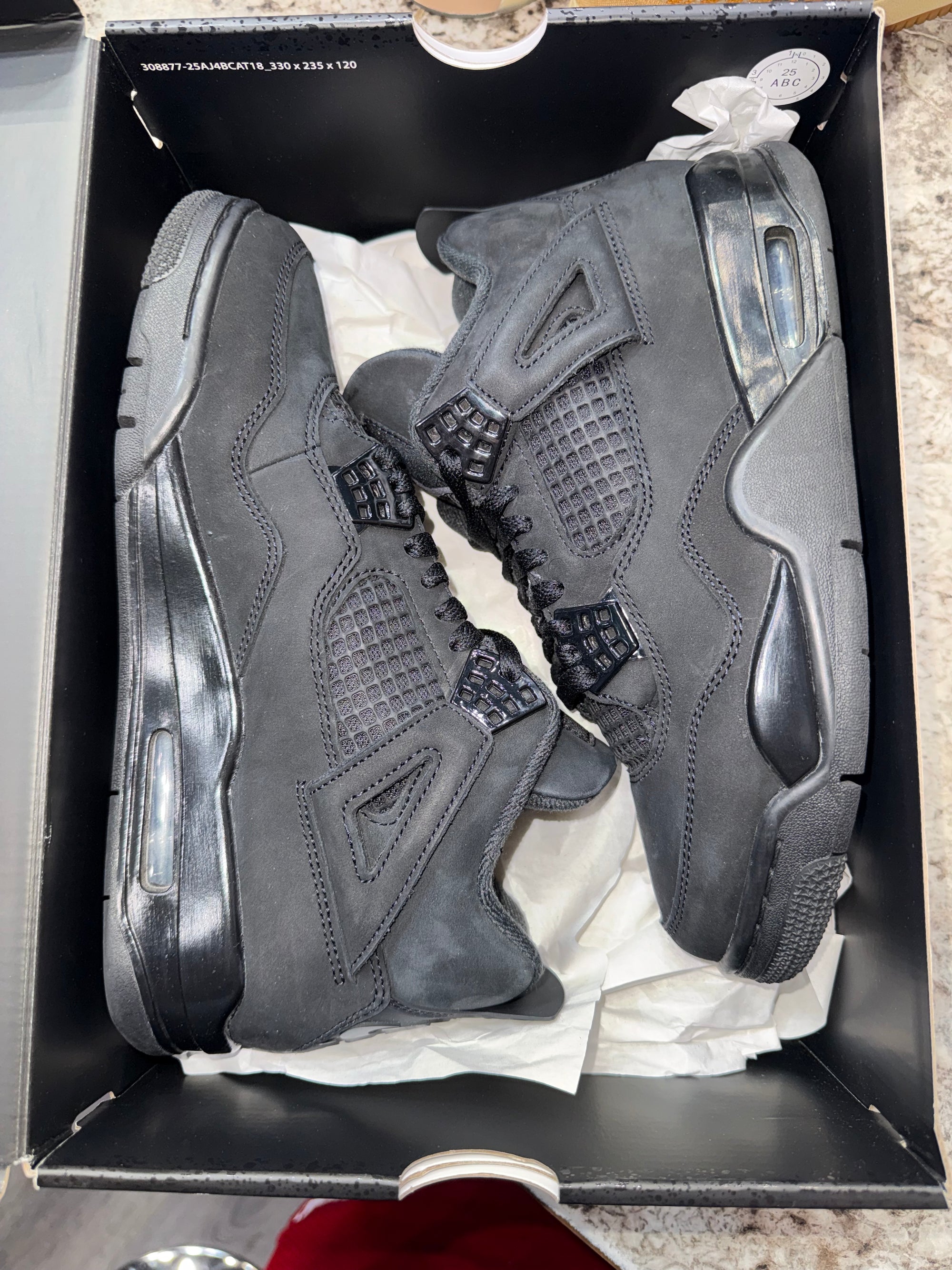 Jordan 4 Retro Black Cat (2025)