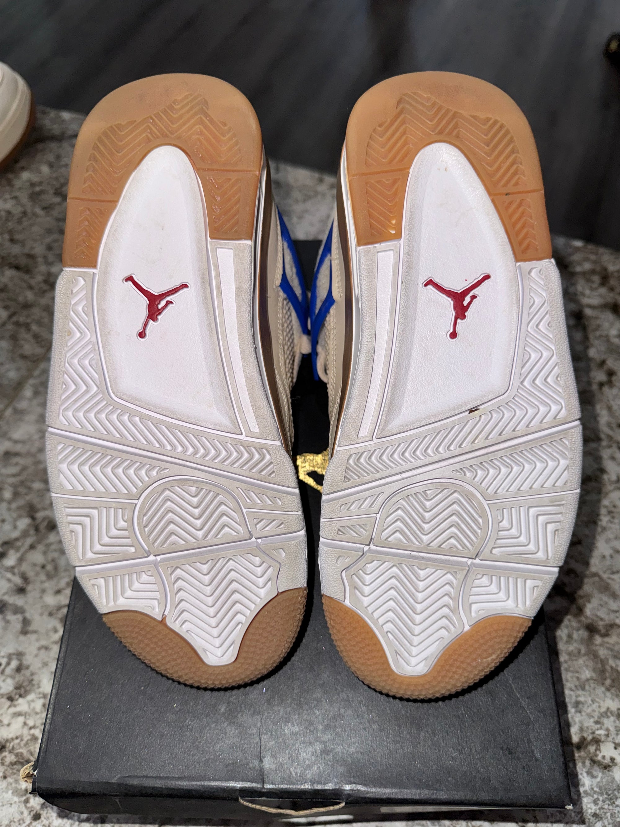 Jordan 4 Retro Where the Wild Things Are (GS)