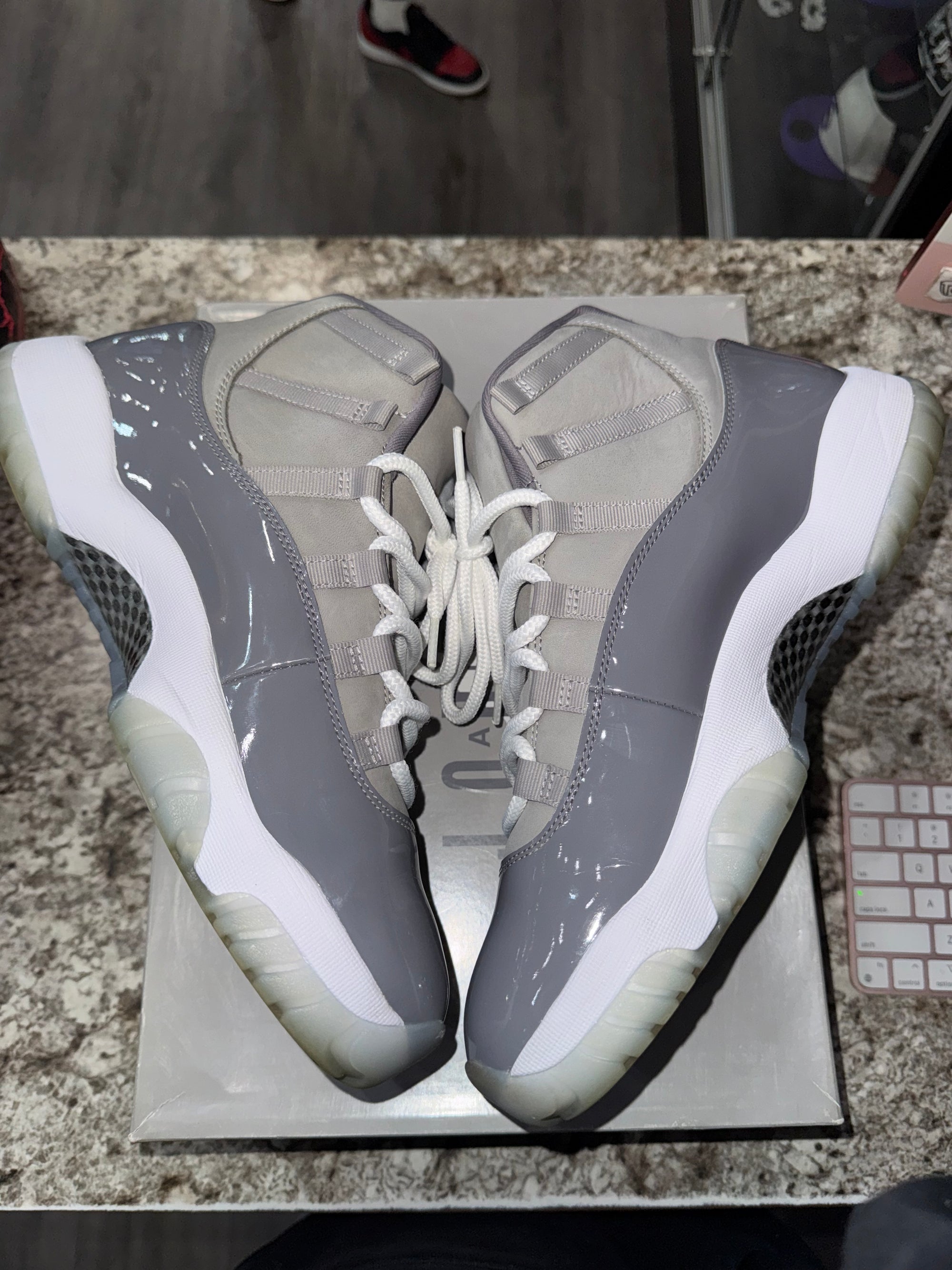 Jordan 11 Retro Cool Grey (2021)