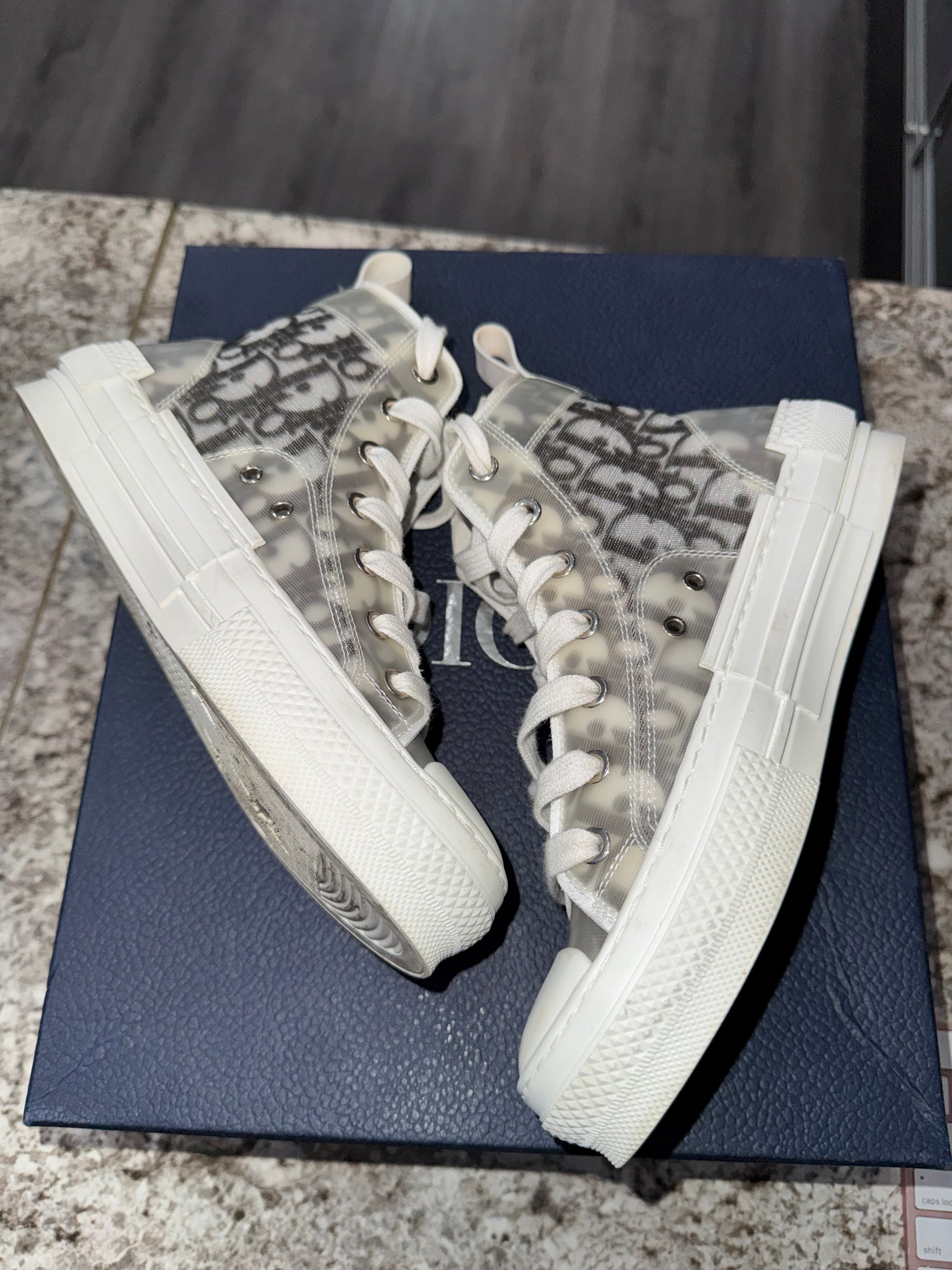 Dior B23 High Top Logo Oblique