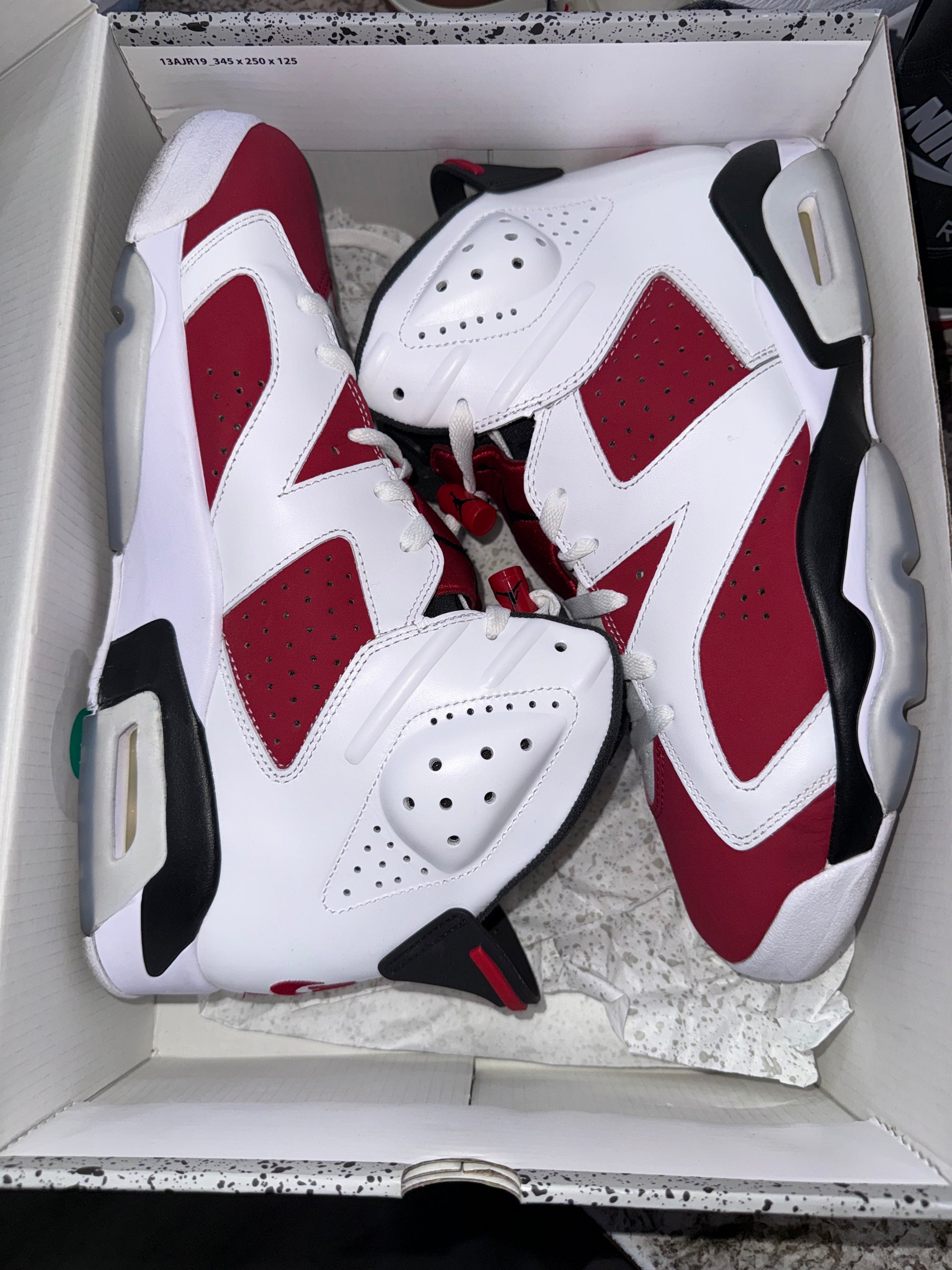 Jordan 6 Retro Carmine (2021)