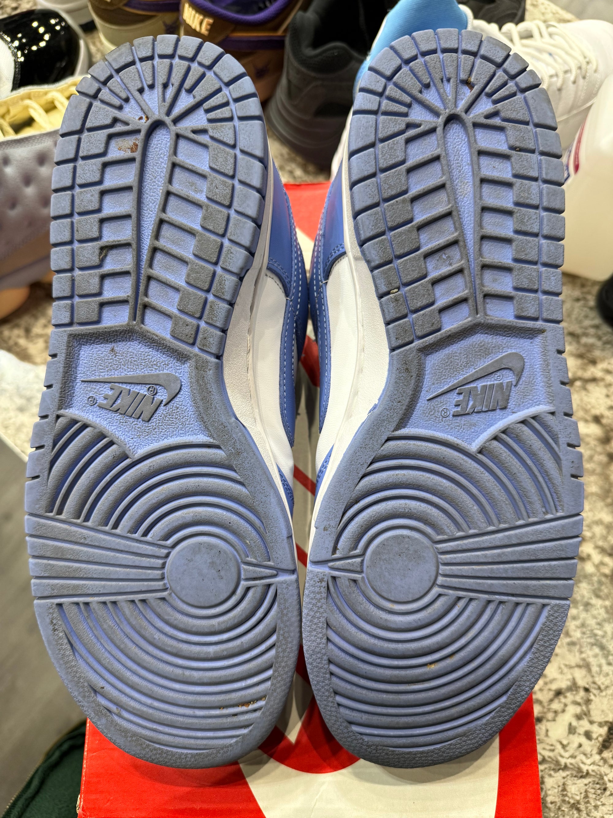 Nike Dunk Low Polar Blue