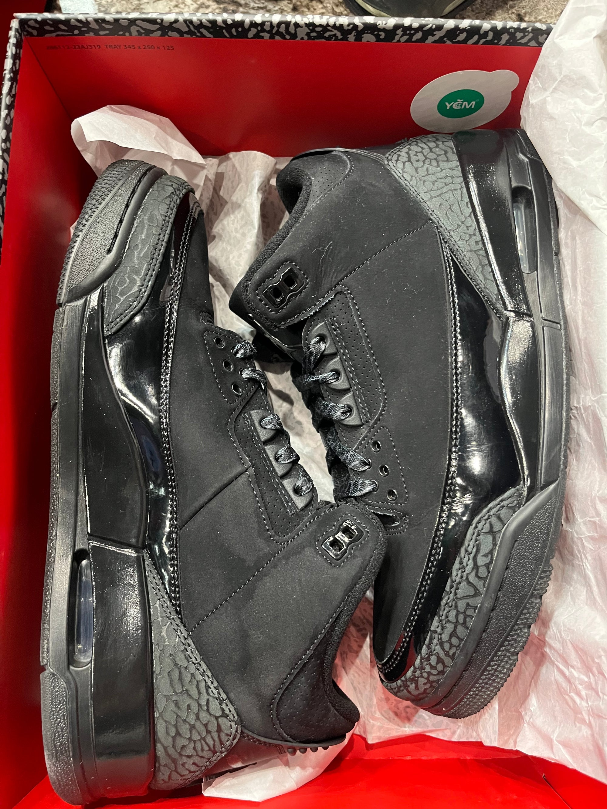 Jordan 3 Retro Black Cat (2025)