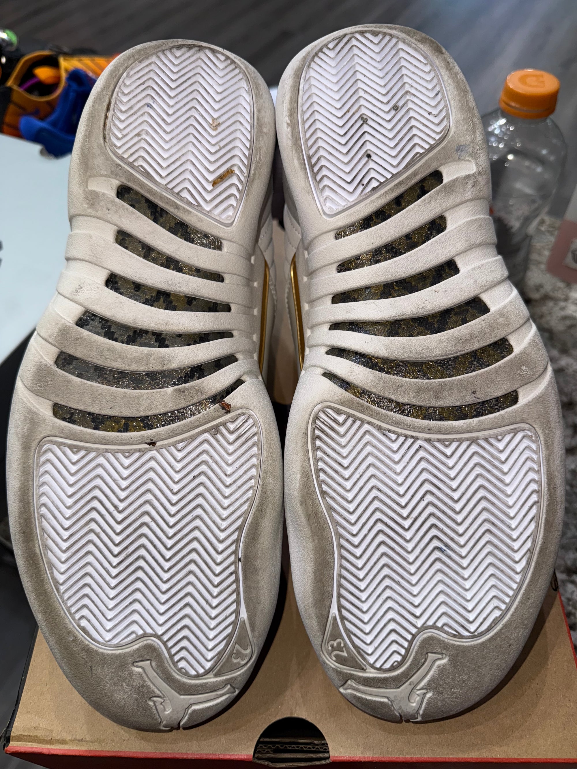 Jordan 12 Retro Phantom (Women's)