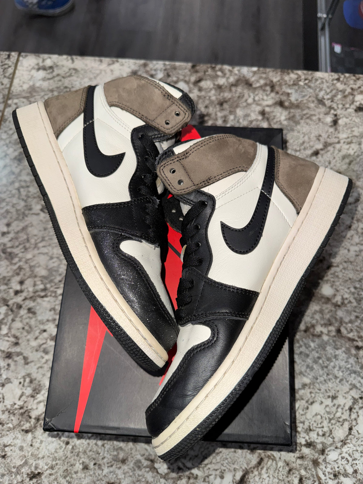 Jordan 1 Retro High Dark Mocha (GS)
