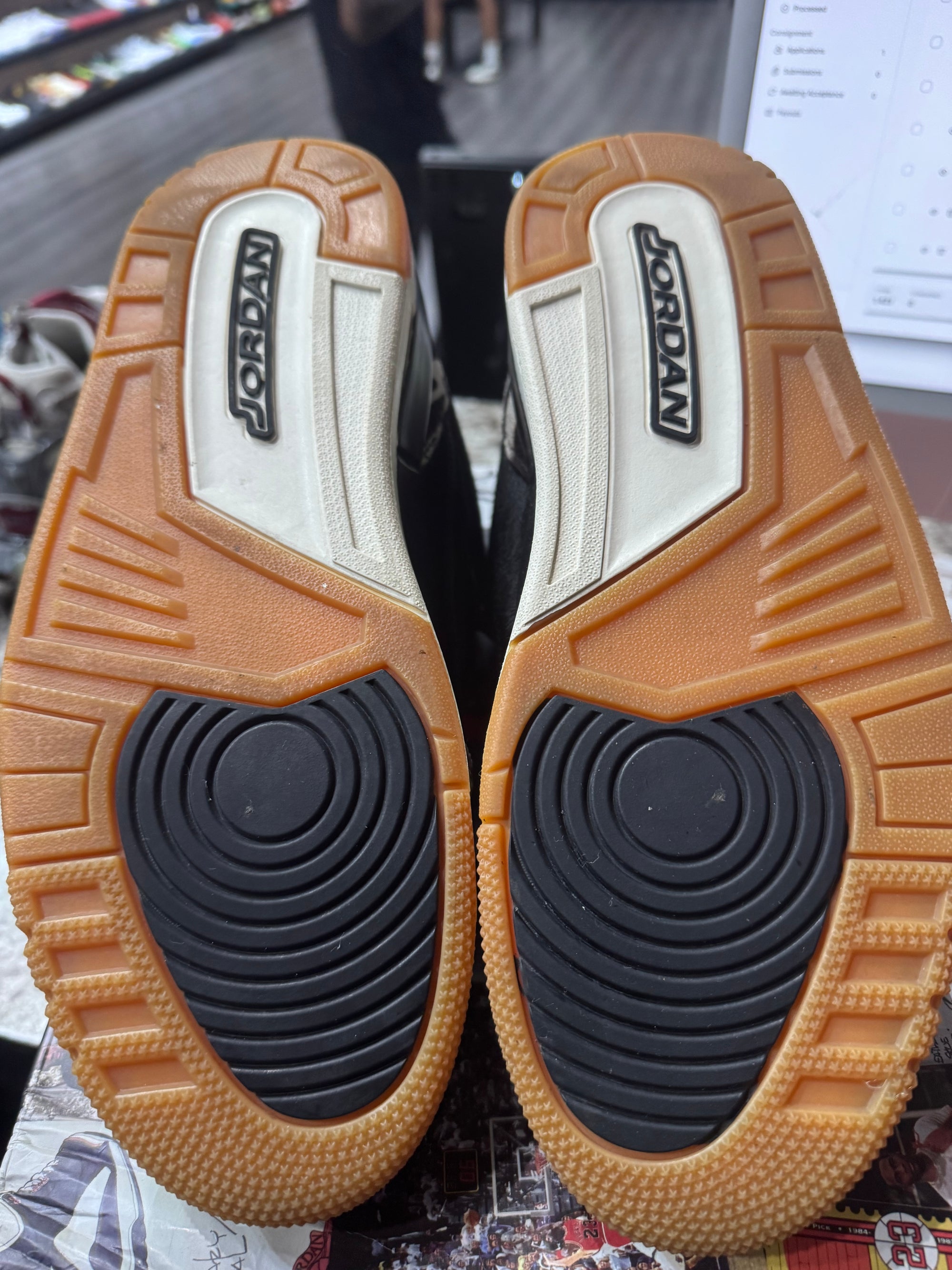 Jordan 3 Retro SE Animal Instinct