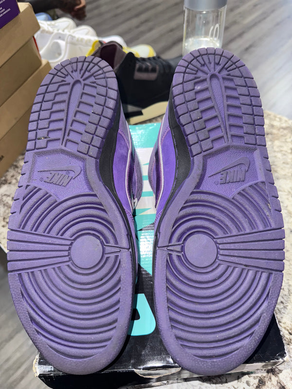 Nike SB Dunk Low Concepts Purple Lobster
