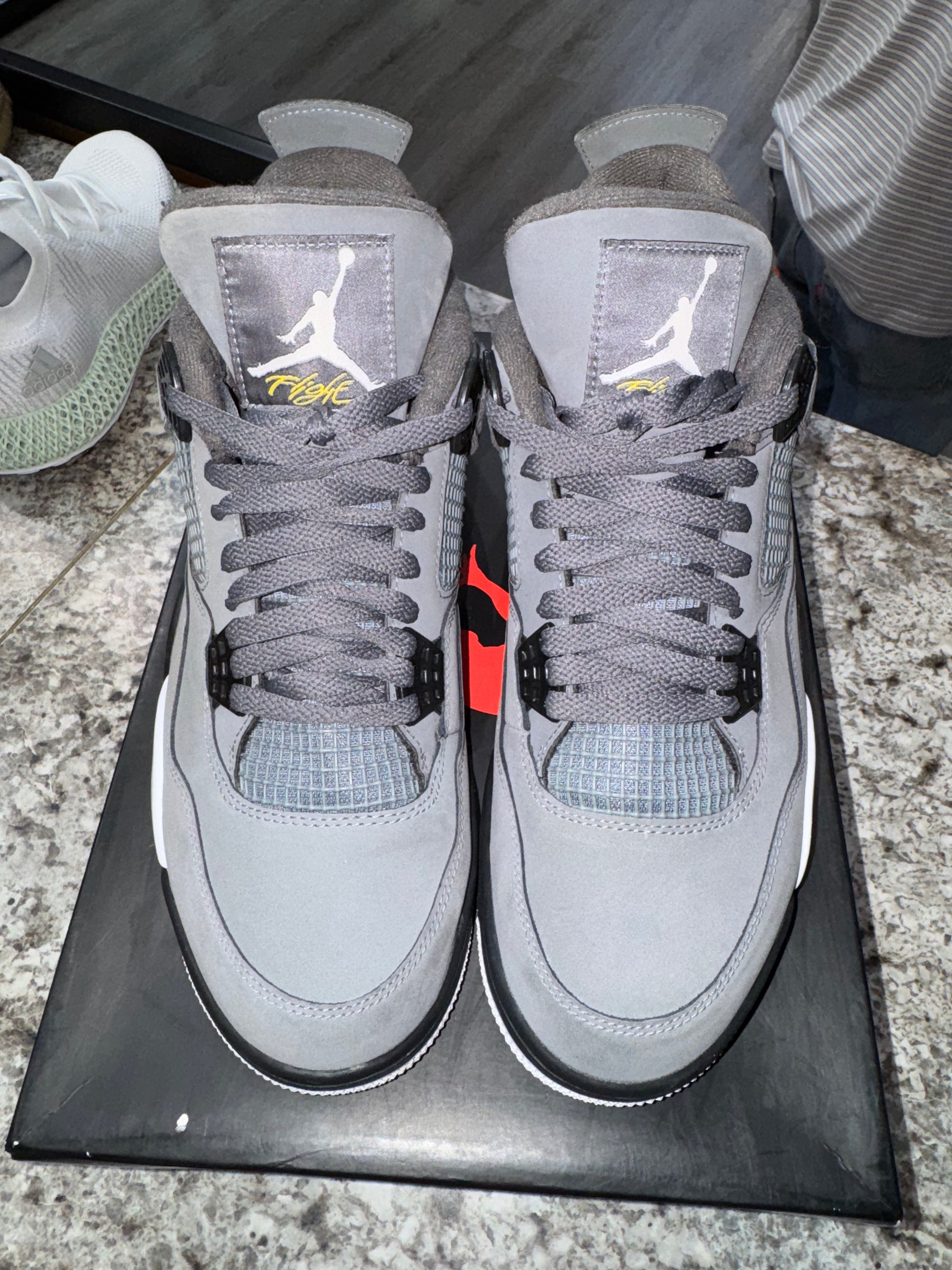 Jordan 4 Retro Cool Grey (2019)