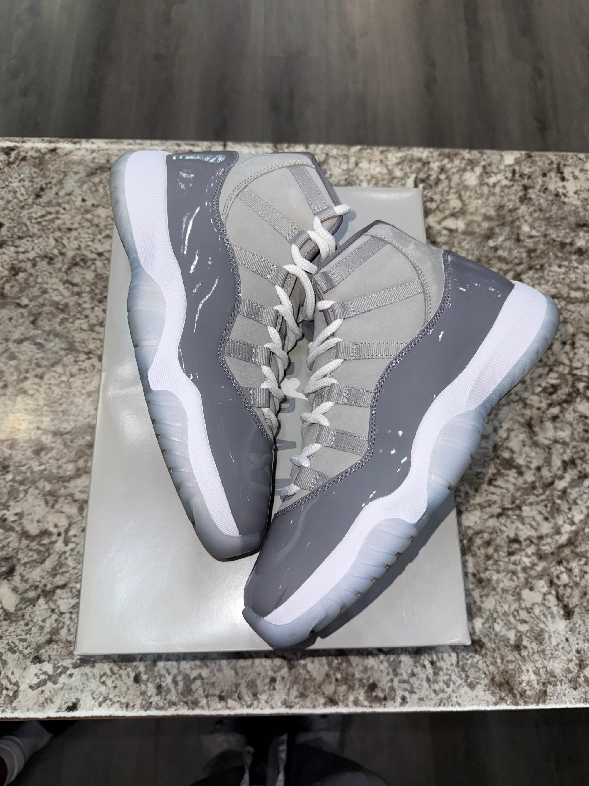 Jordan 11 Retro Cool Grey (2021)