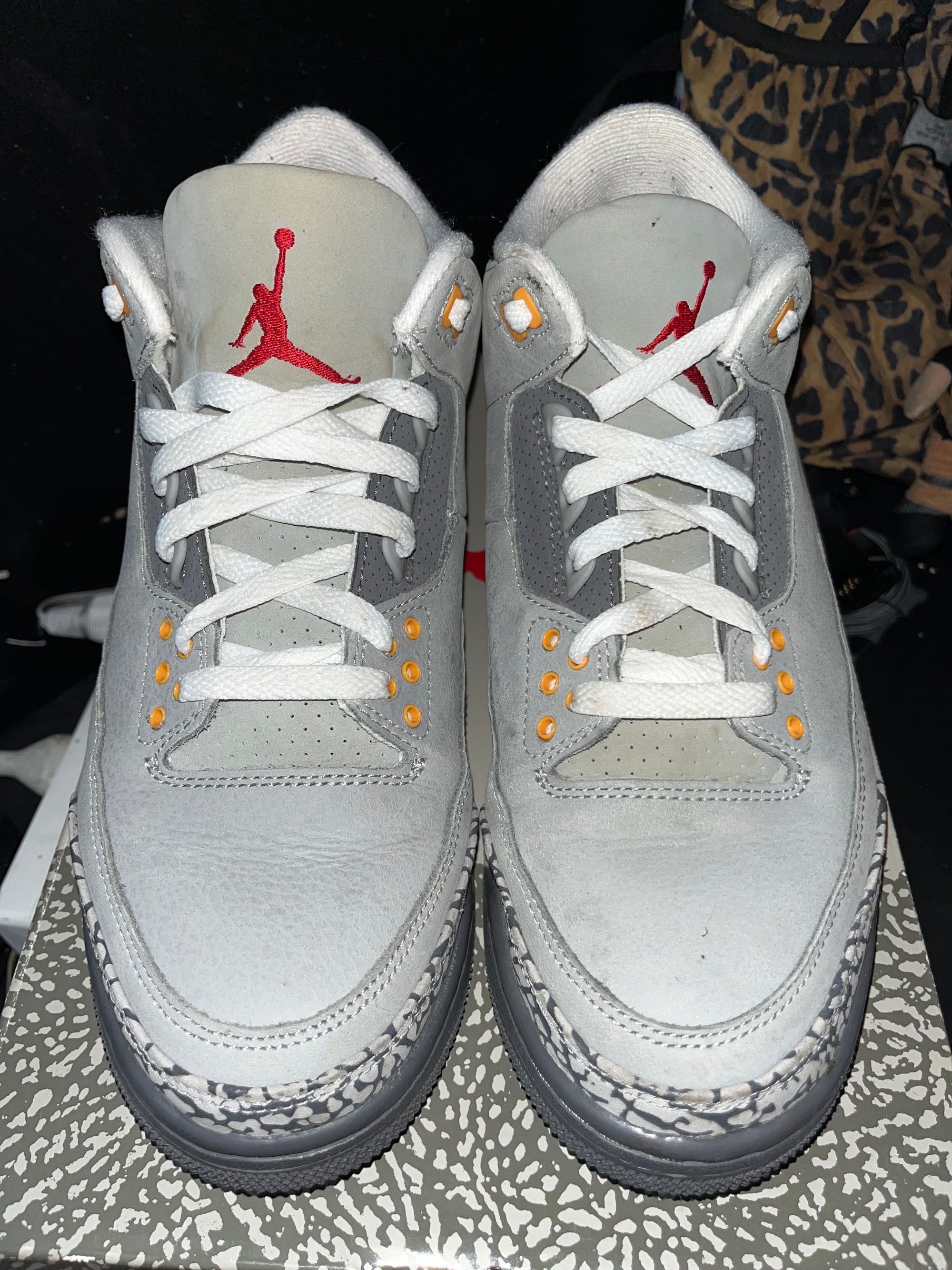 Jordan 3 Retro Cool Grey (2021)