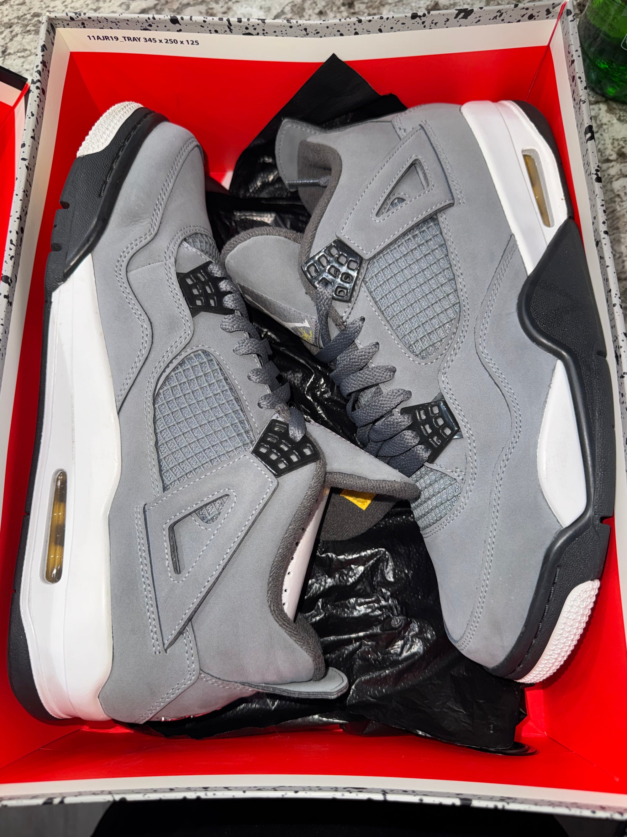 Jordan 4 Retro Cool Grey (2019)