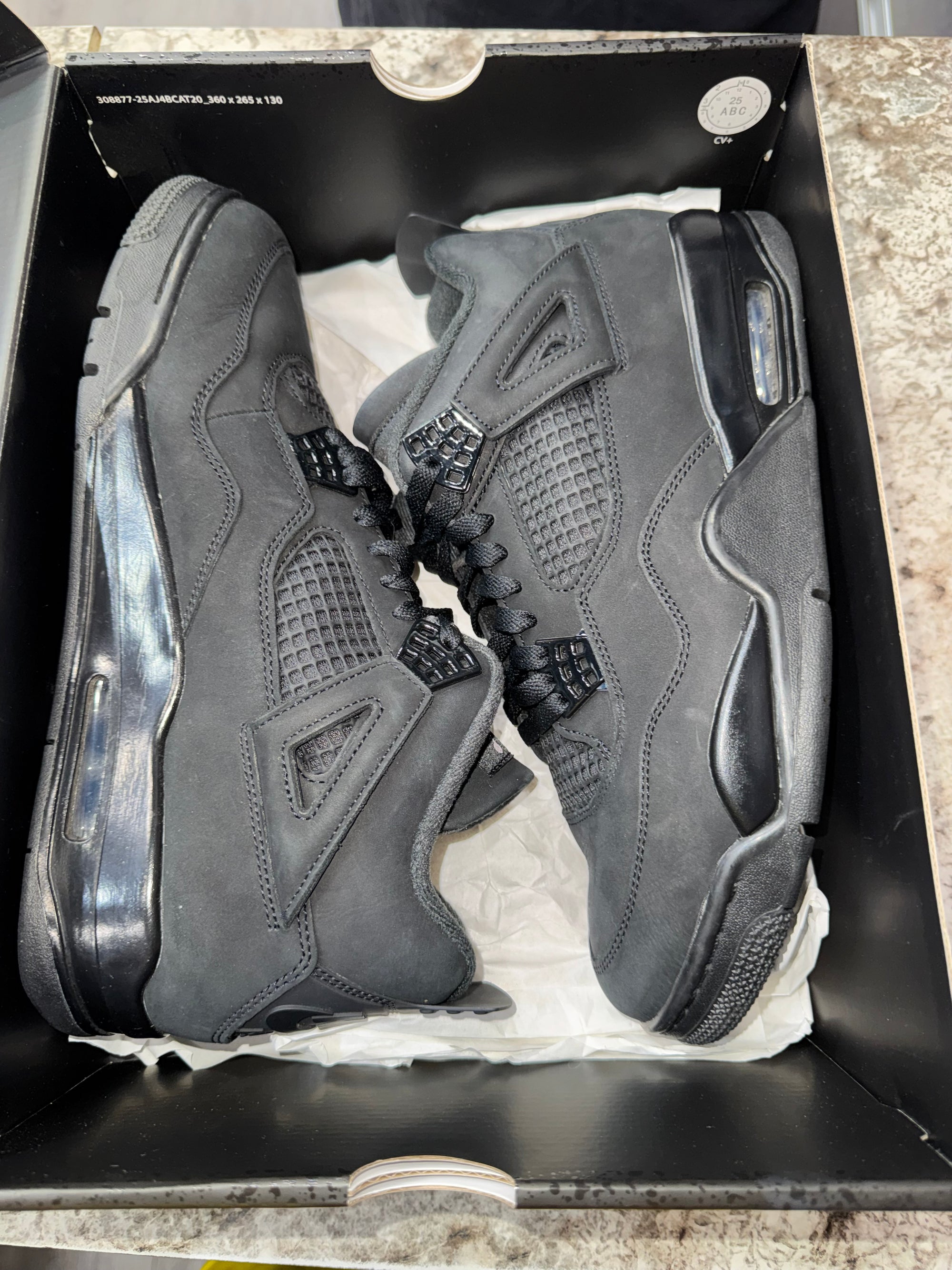 Jordan 4 Retro Black Cat (2025)