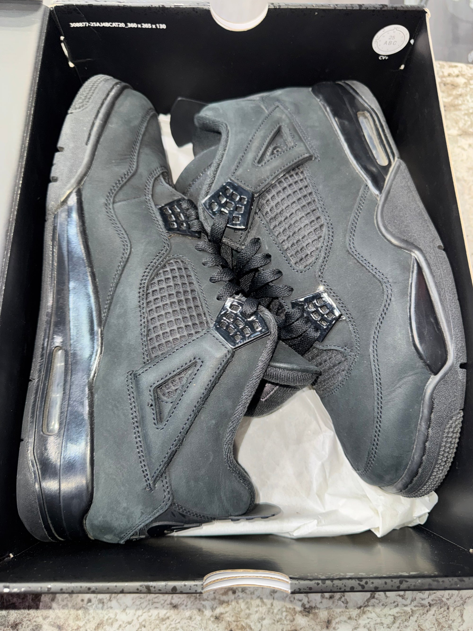 Jordan 4 Retro Black Cat (2025)
