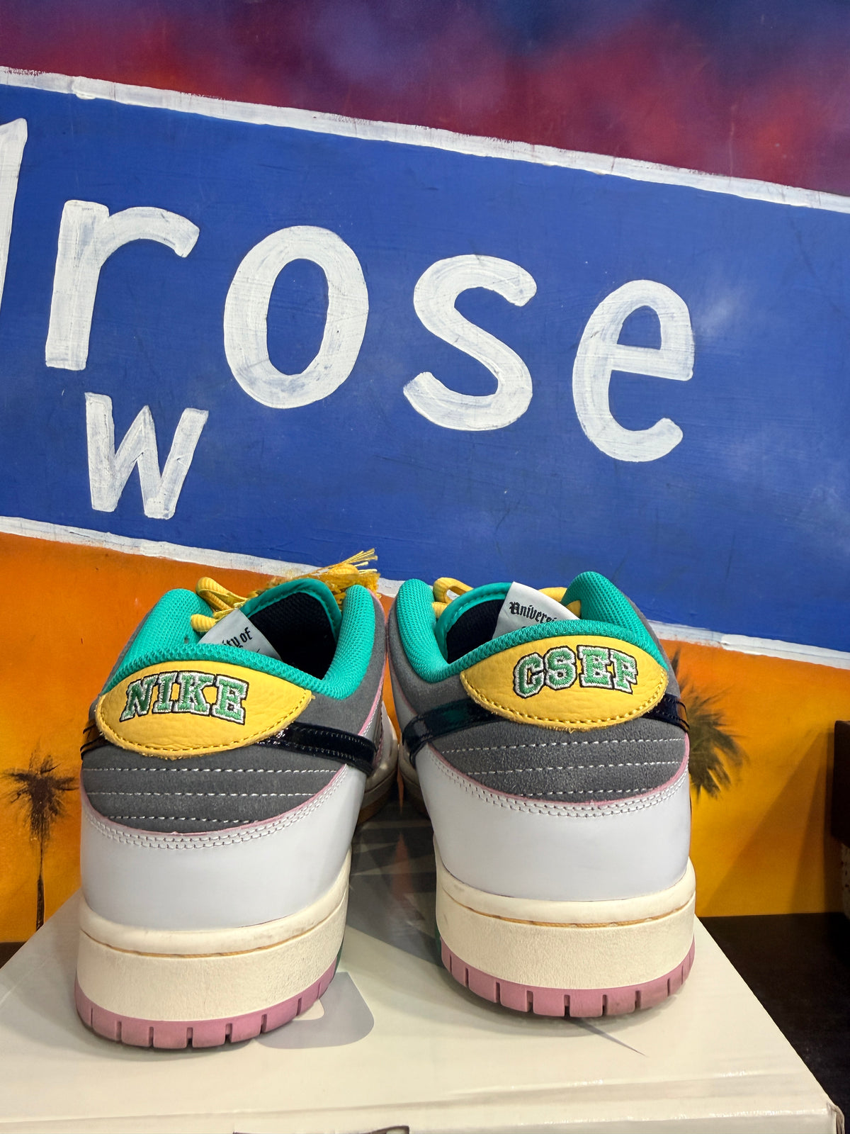 Nike SB Dunk Low CSEF