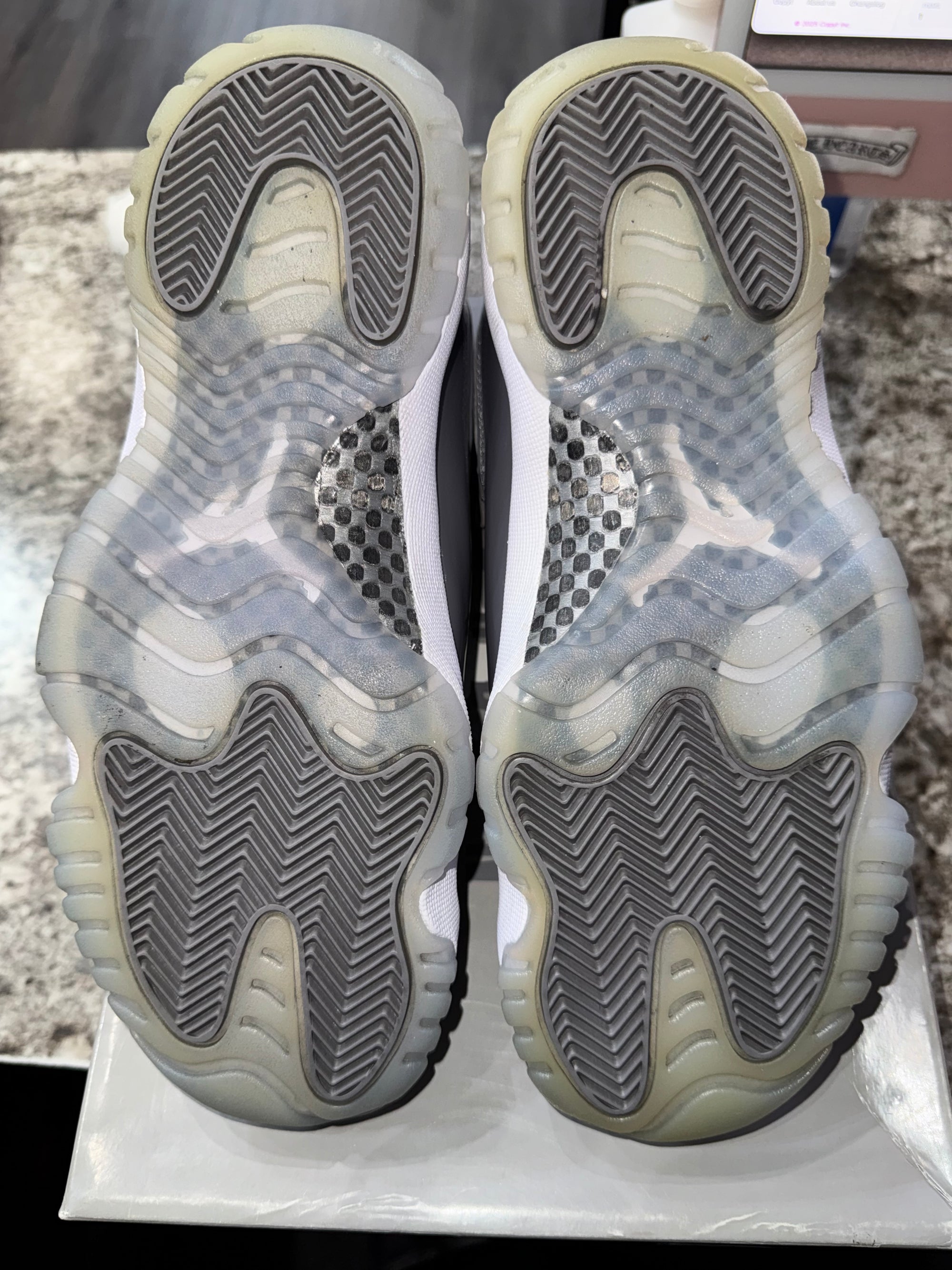 Jordan 11 Retro Cool Grey (2021)