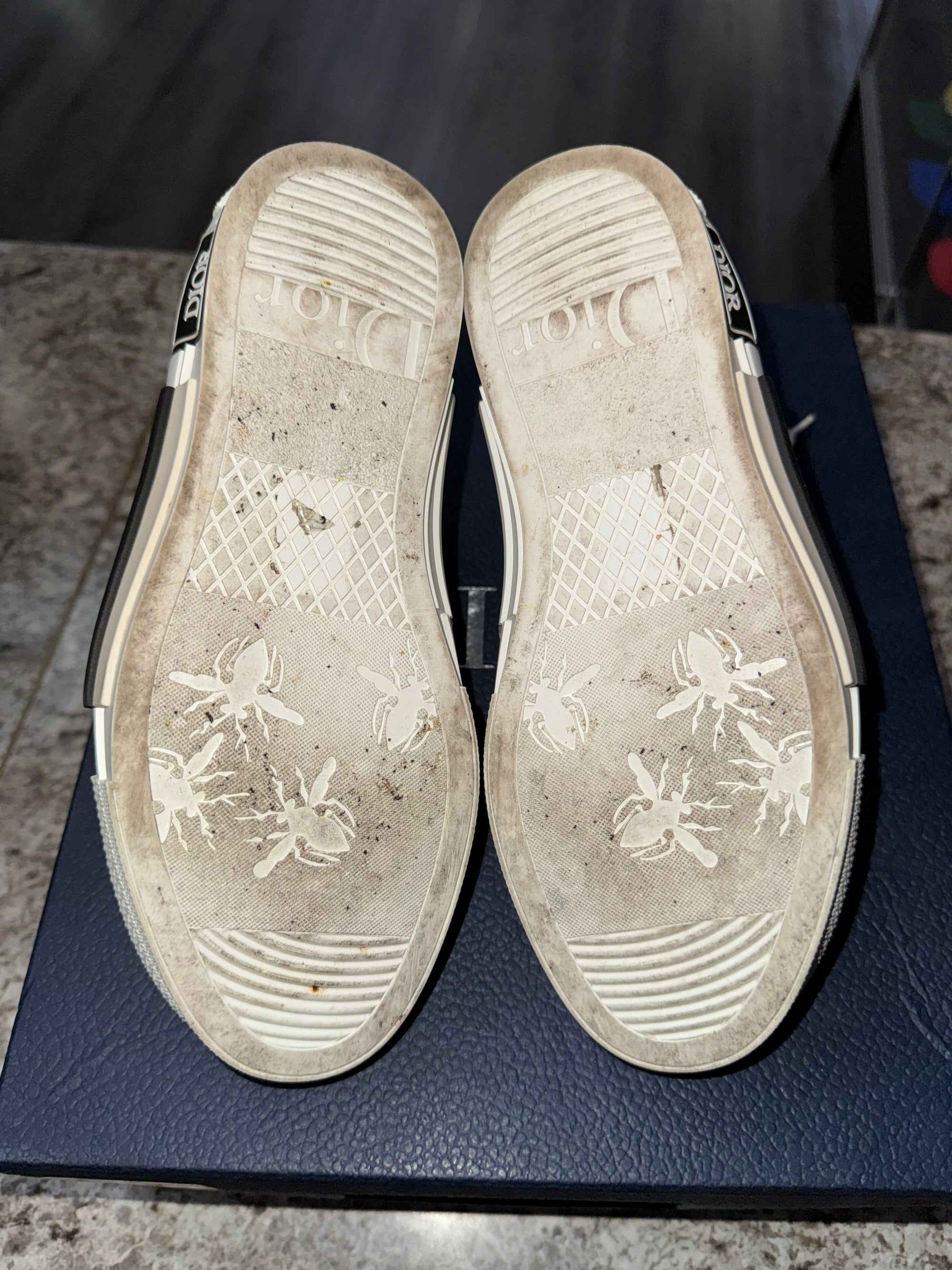 Dior B23 High Top Logo Oblique