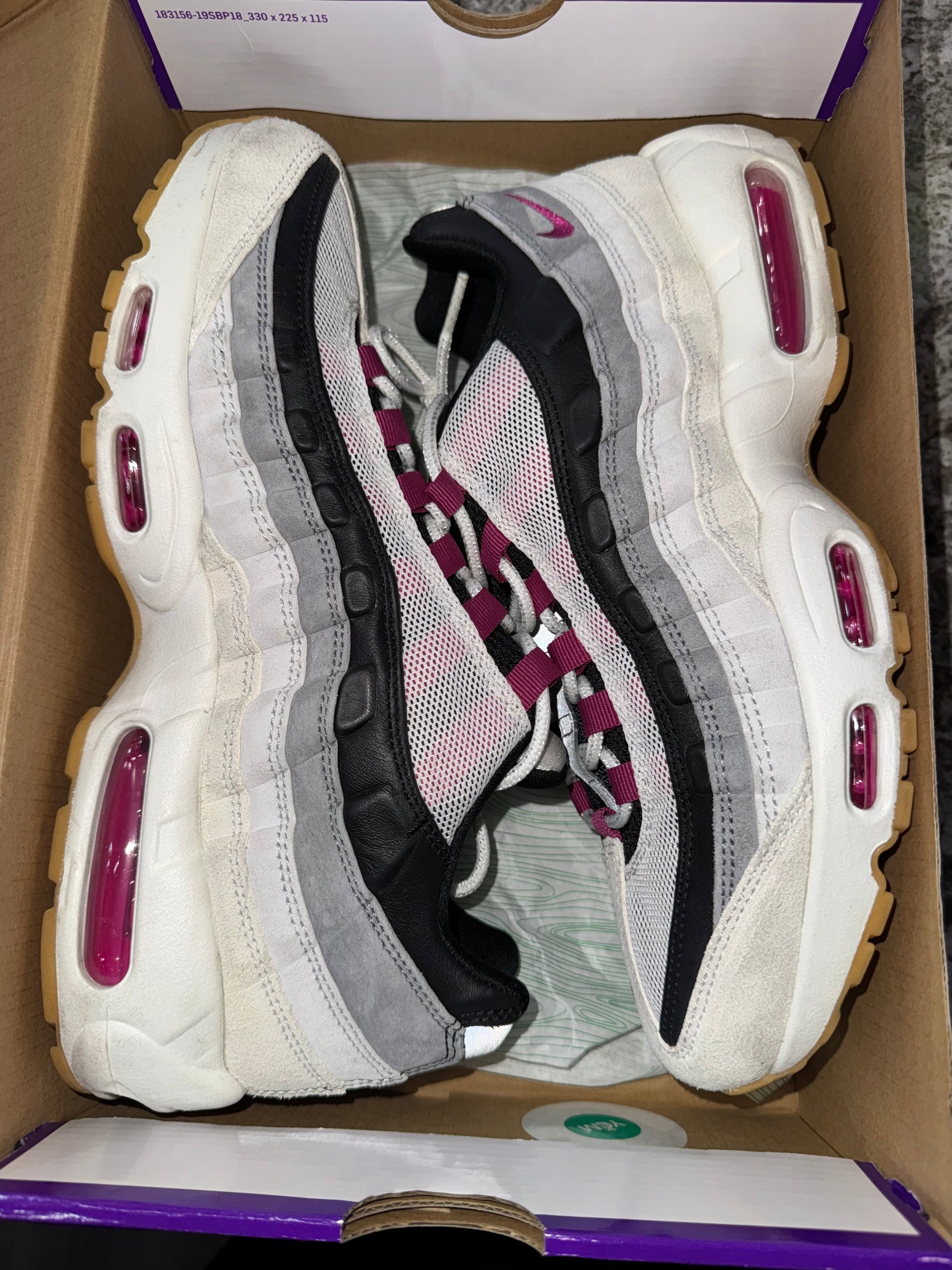 Nike Air Max 95 SB Cactus Flower
