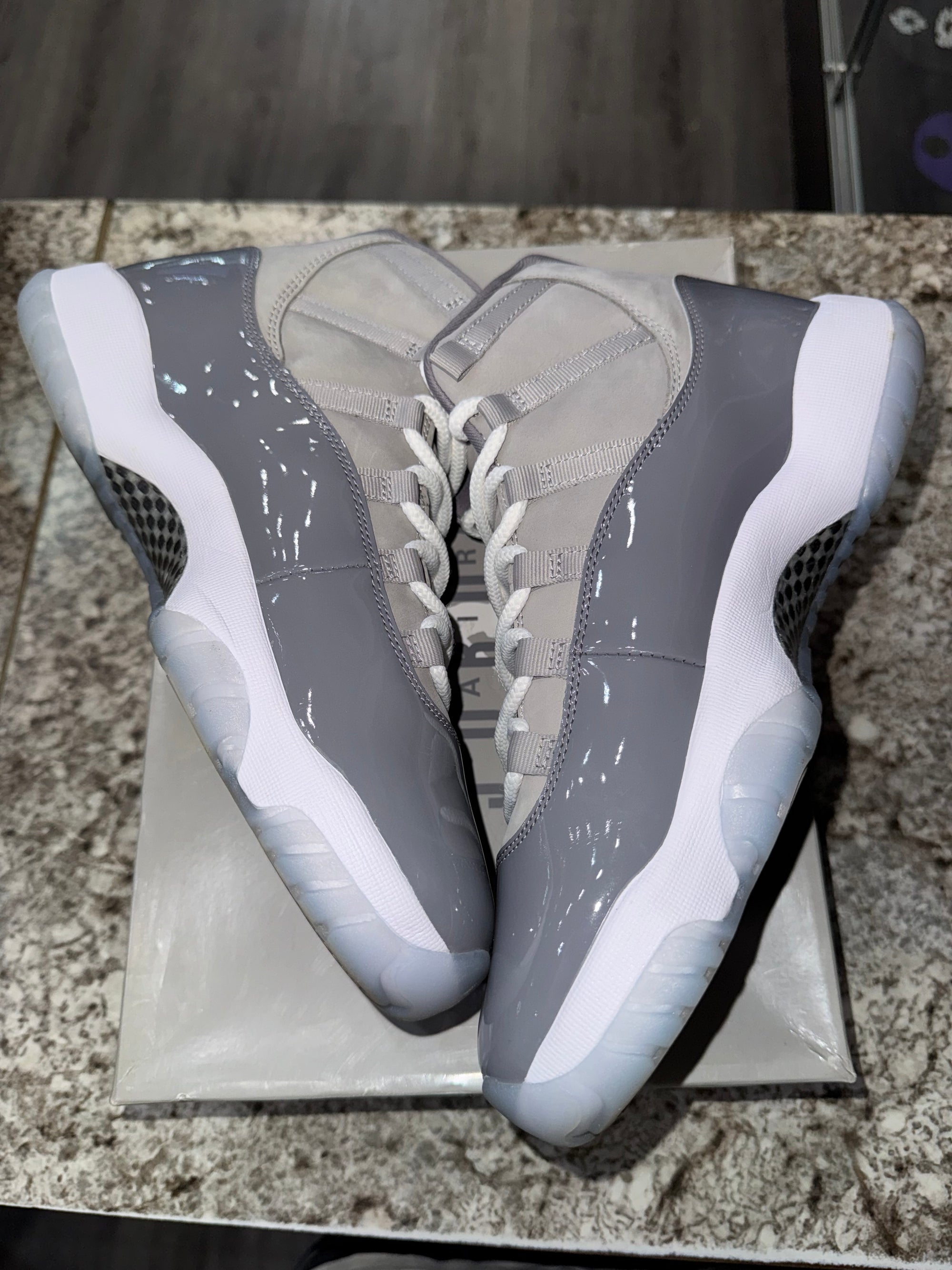 Jordan 11 Retro Cool Grey (2021)
