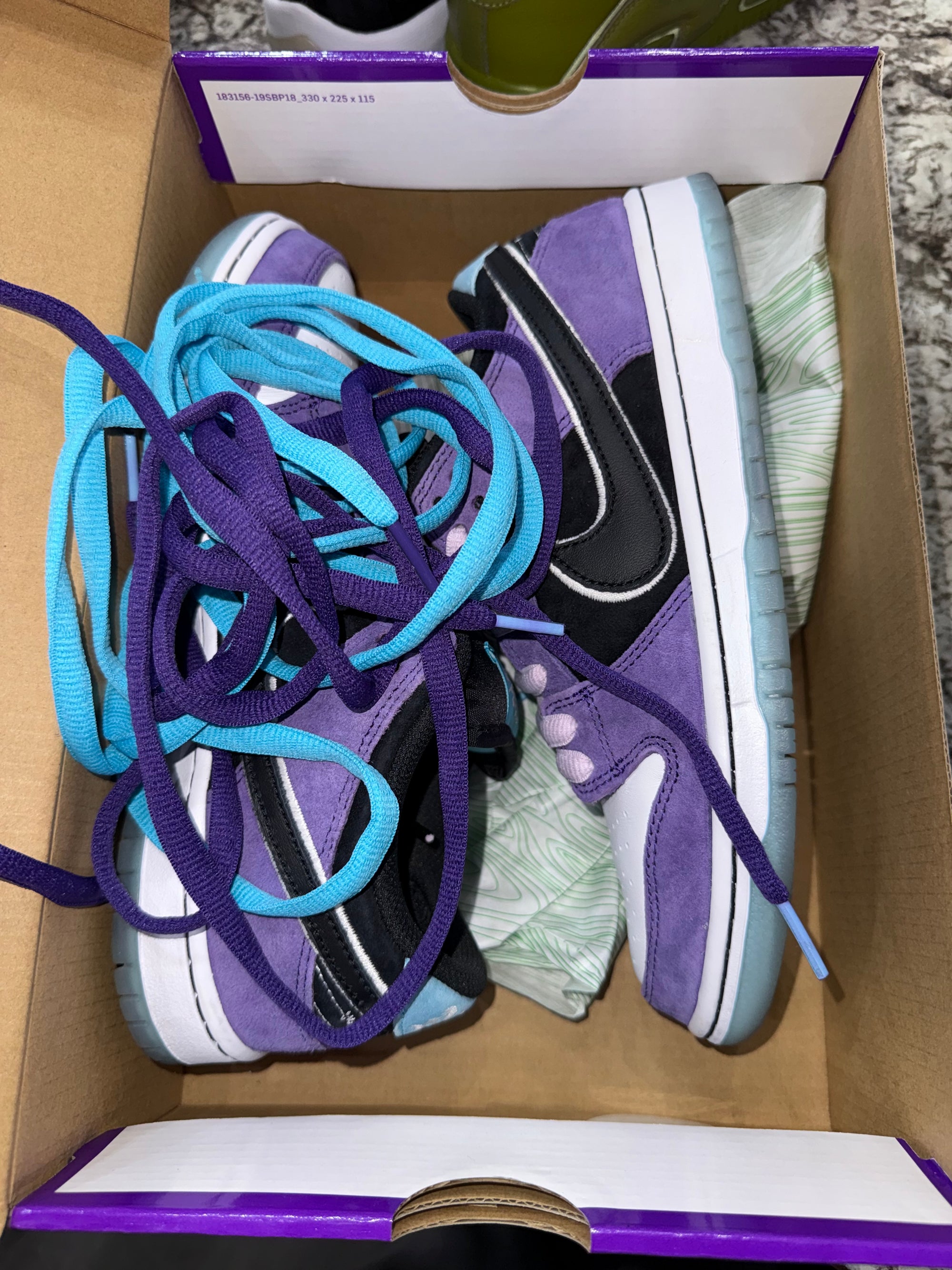 Nike SB Dunk Low Hayley Wilson