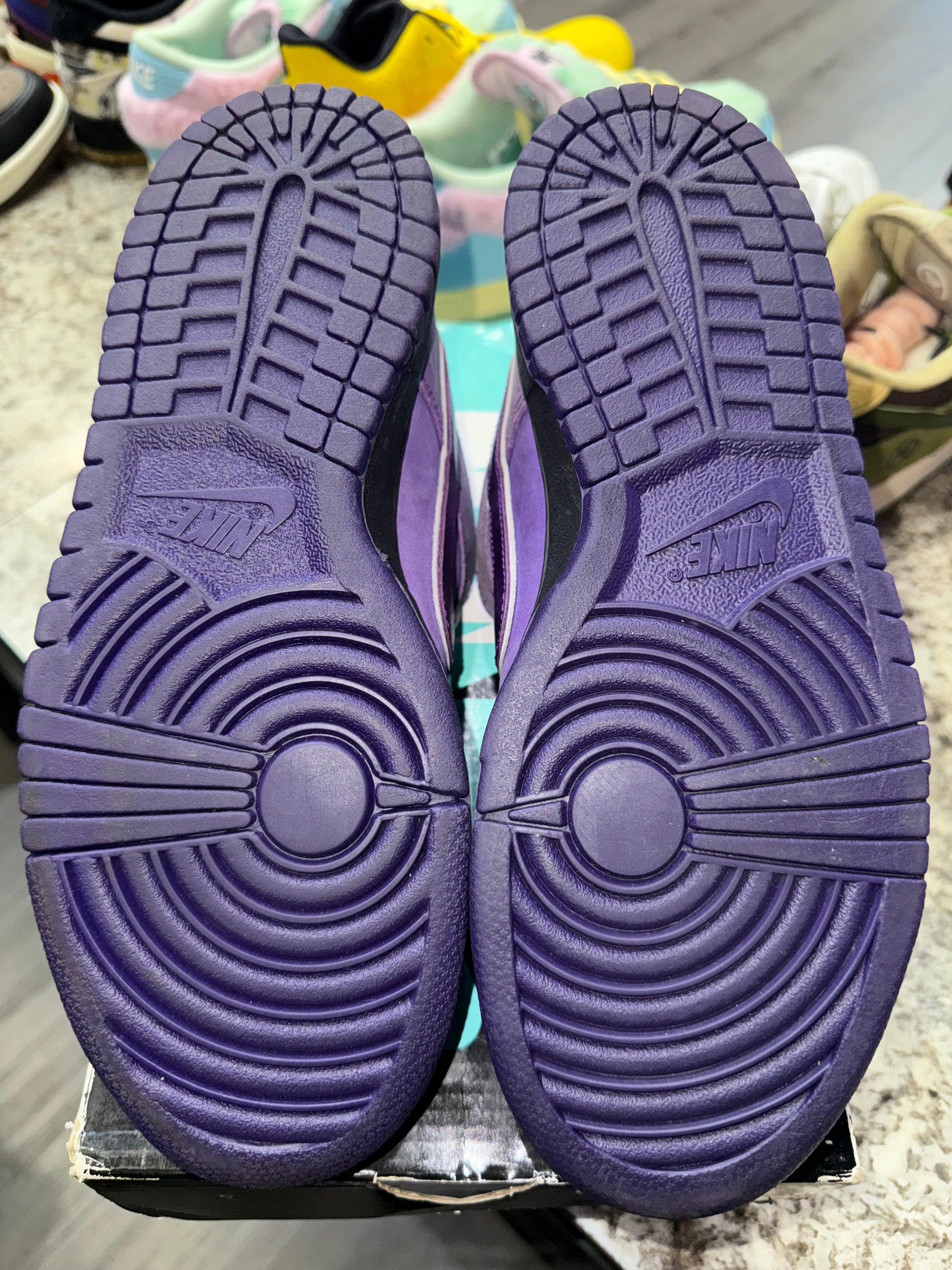 Nike SB Dunk Low Concepts Purple Lobster