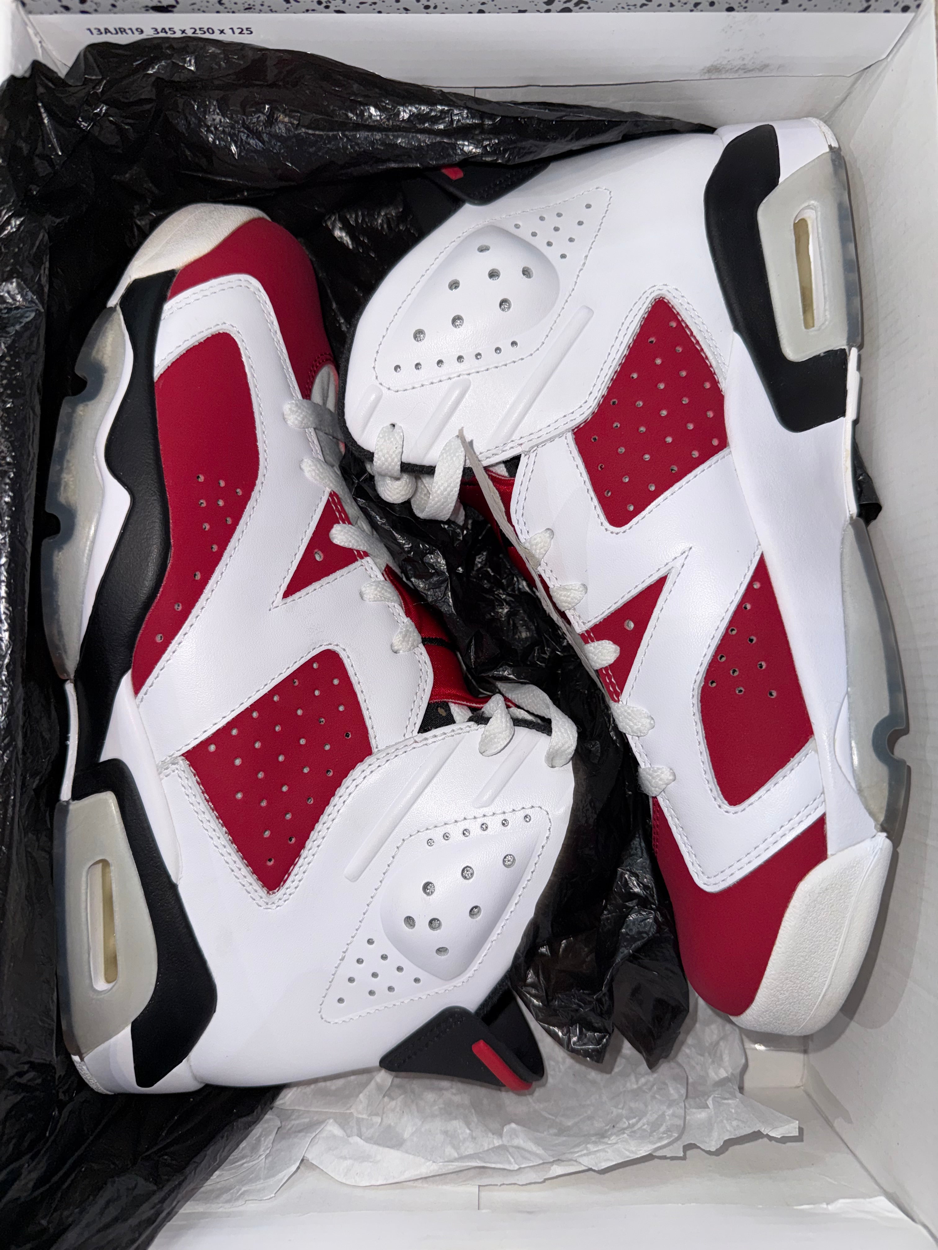carmine 6 2013