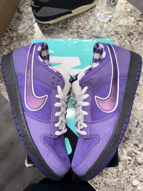 Nike SB Dunk Low Concepts Purple Lobster
