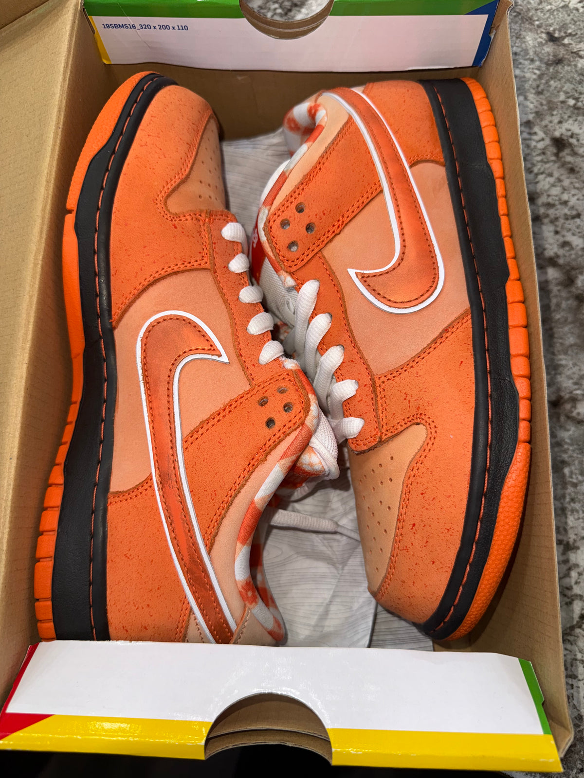Nike SB Dunk Low Concepts Orange Lobster