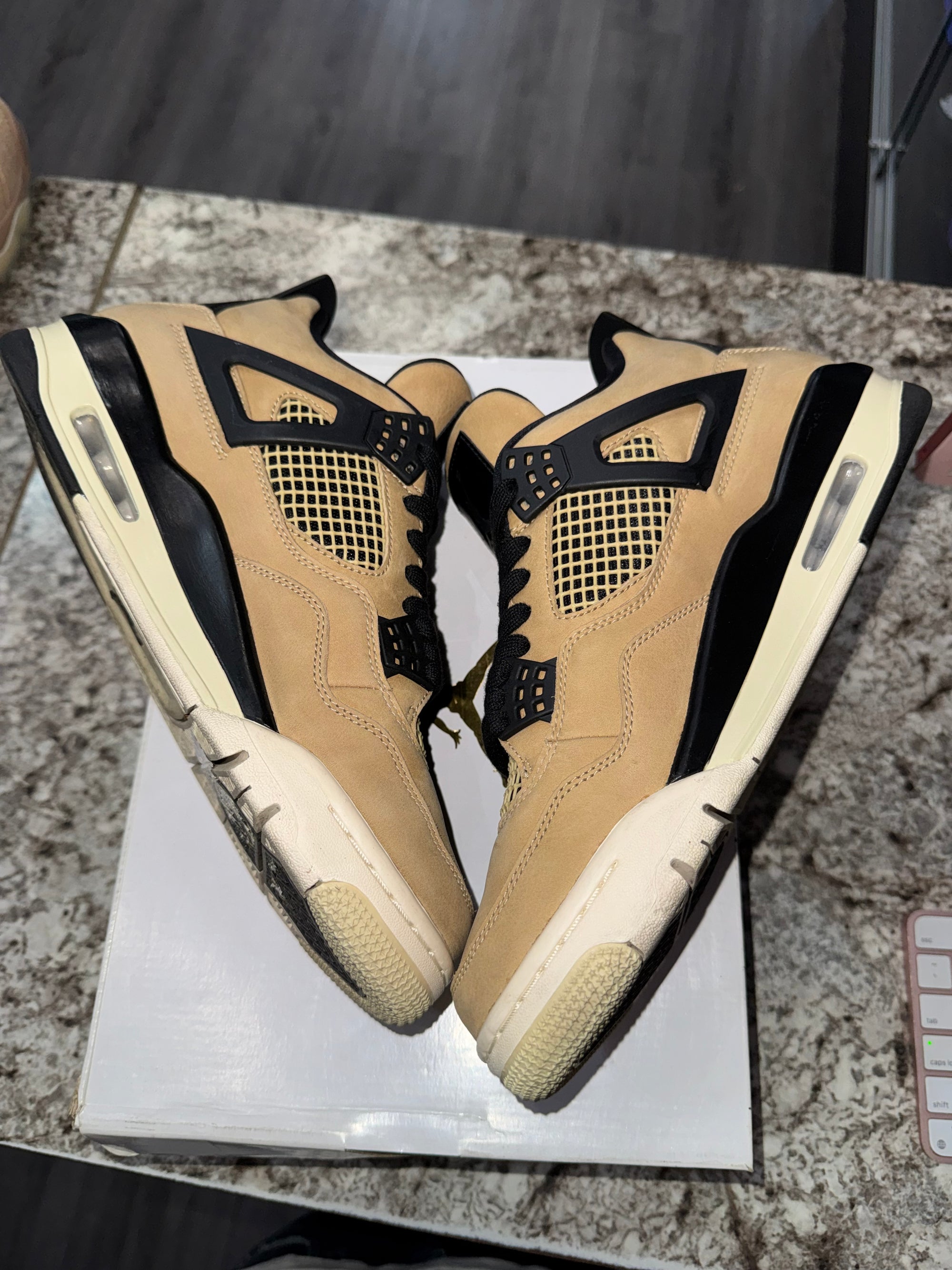 Jordan 4 Retro Fossil (Women's)