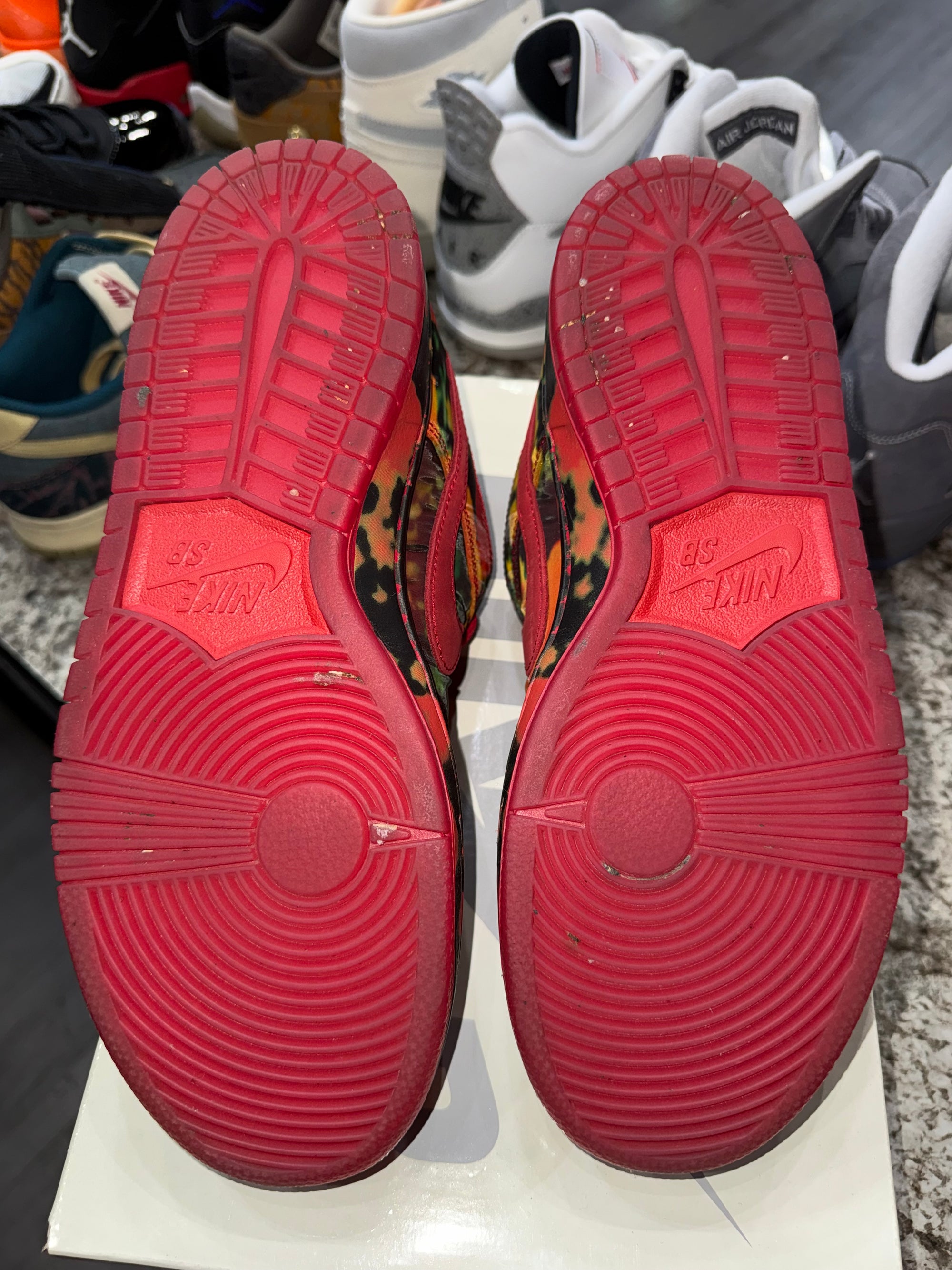 Nike SB Dunk Low The Wizard of Oz Poppy Field