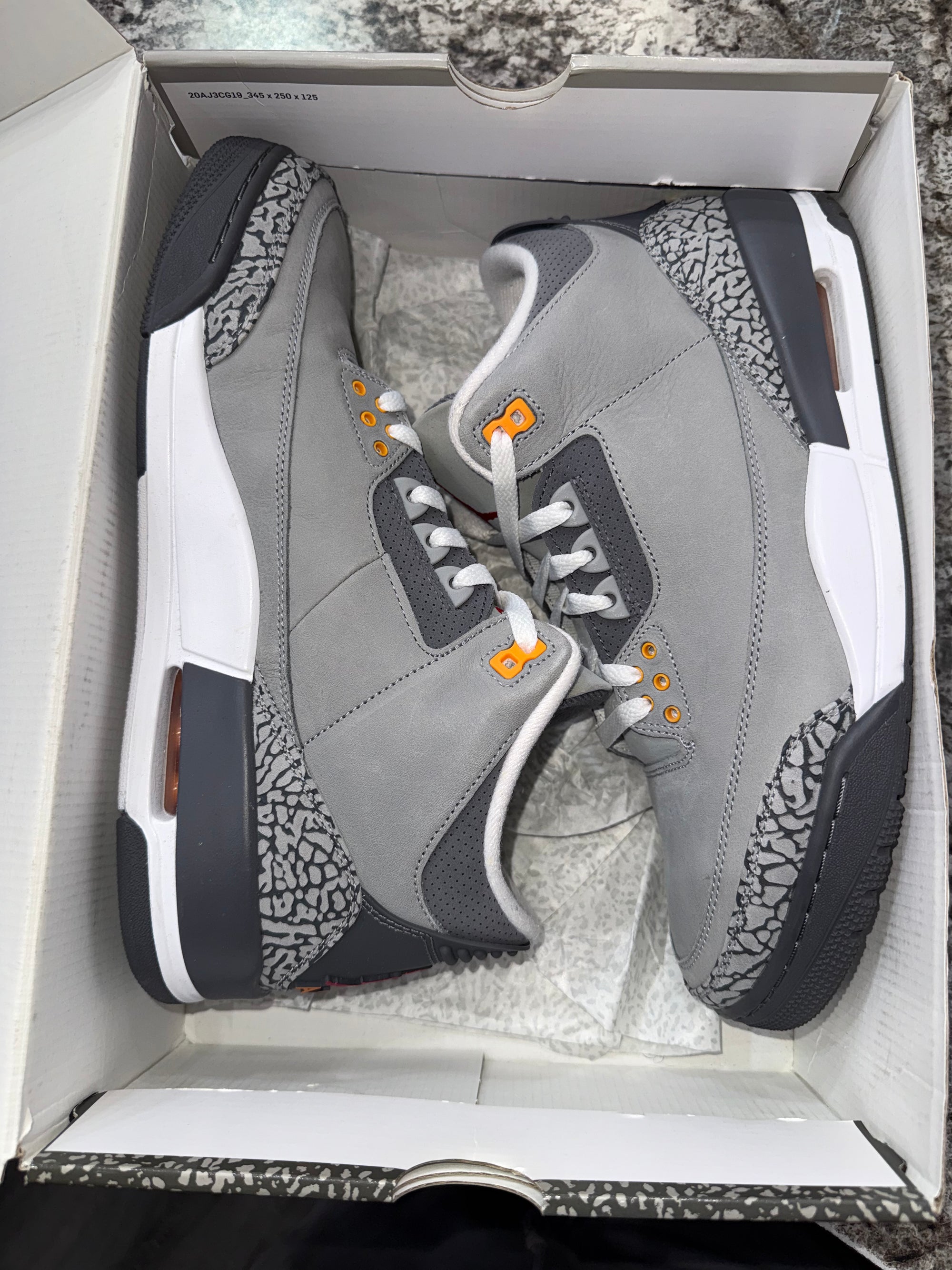 Jordan 3 Retro Cool Grey (2021)