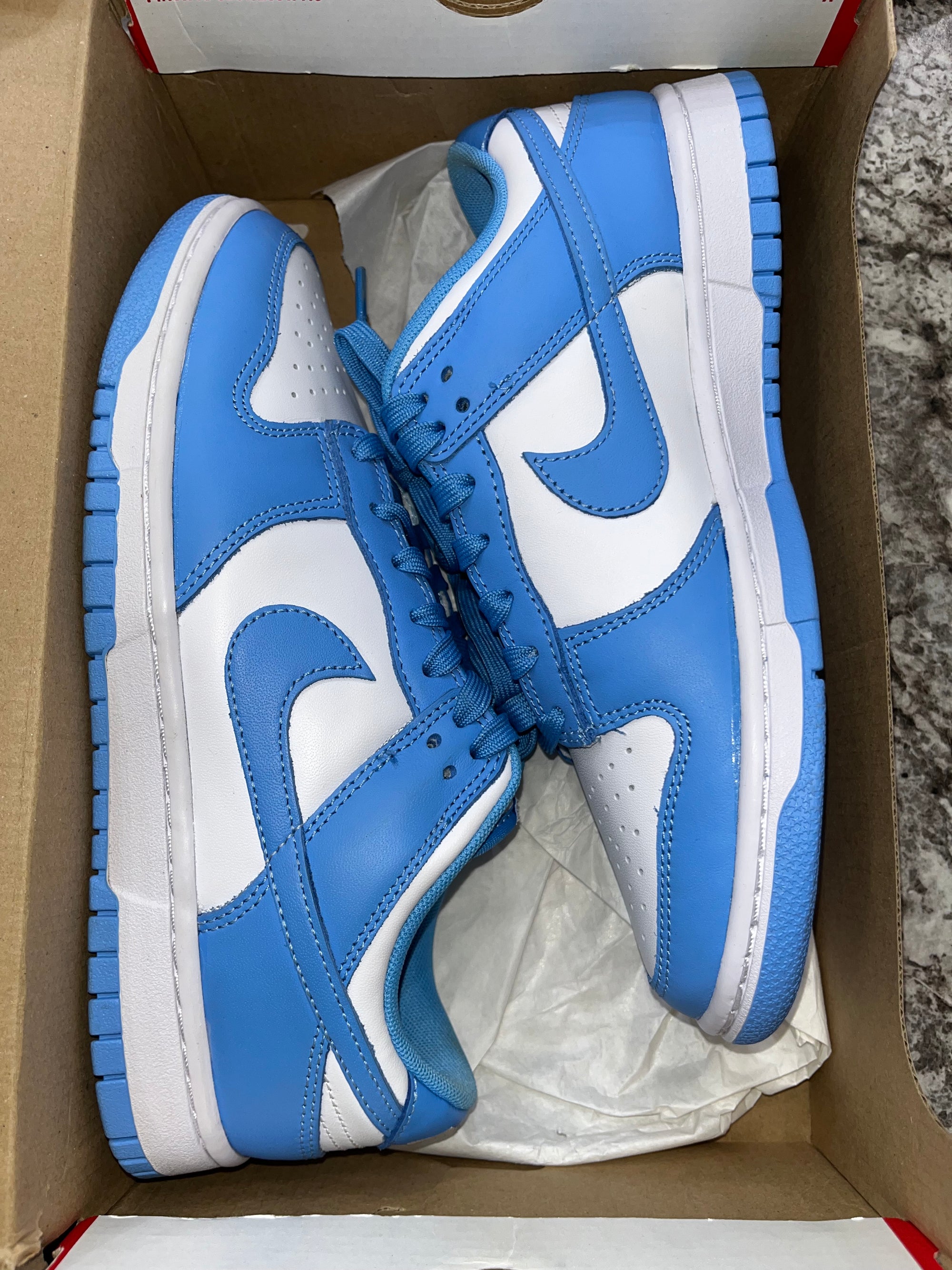 Nike Dunk Low UNC (2021)