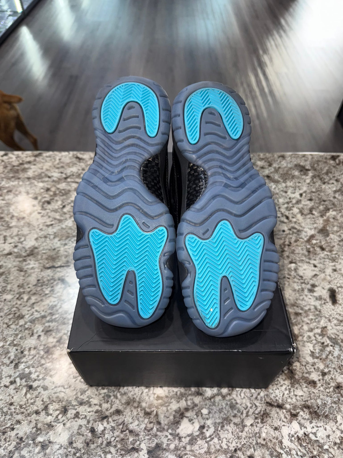 Jordan 11 Retro Gamma Blue (2025) (GS)