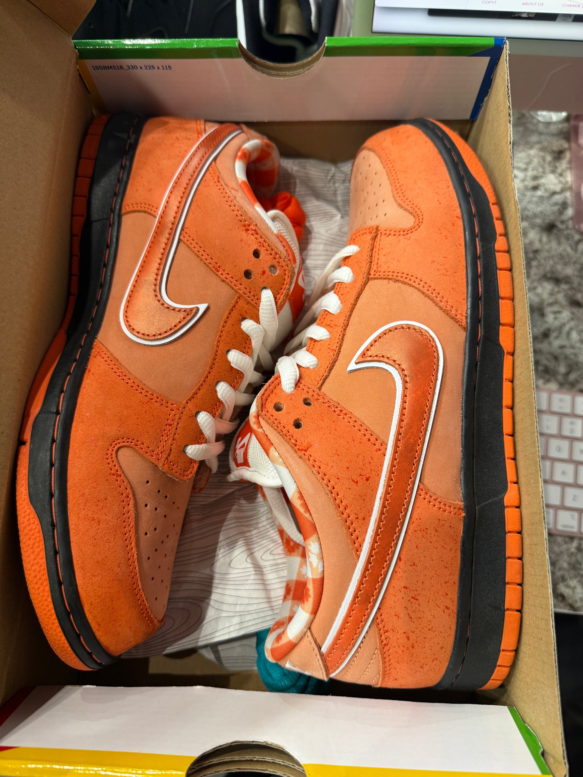 Nike SB Dunk Low Concepts Orange Lobster