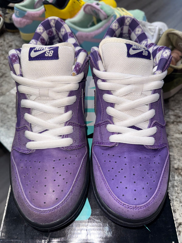 Nike SB Dunk Low Concepts Purple Lobster
