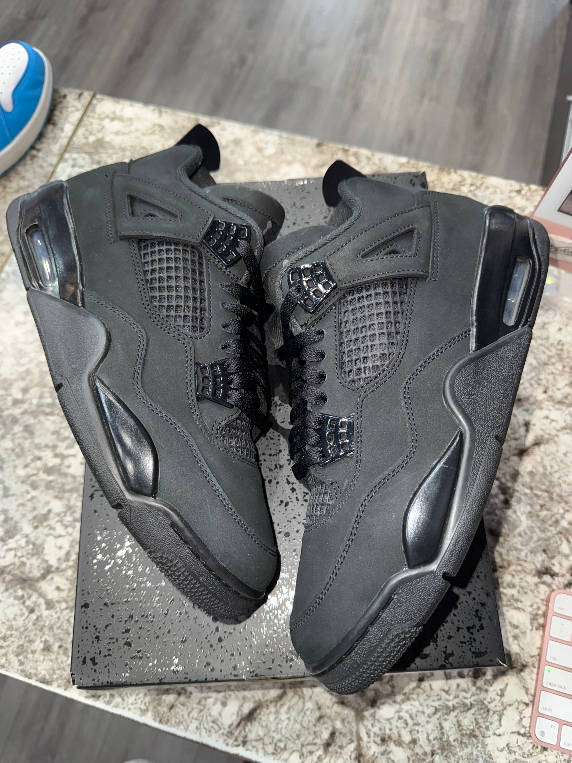 Jordan 4 Retro Black Cat (2025)