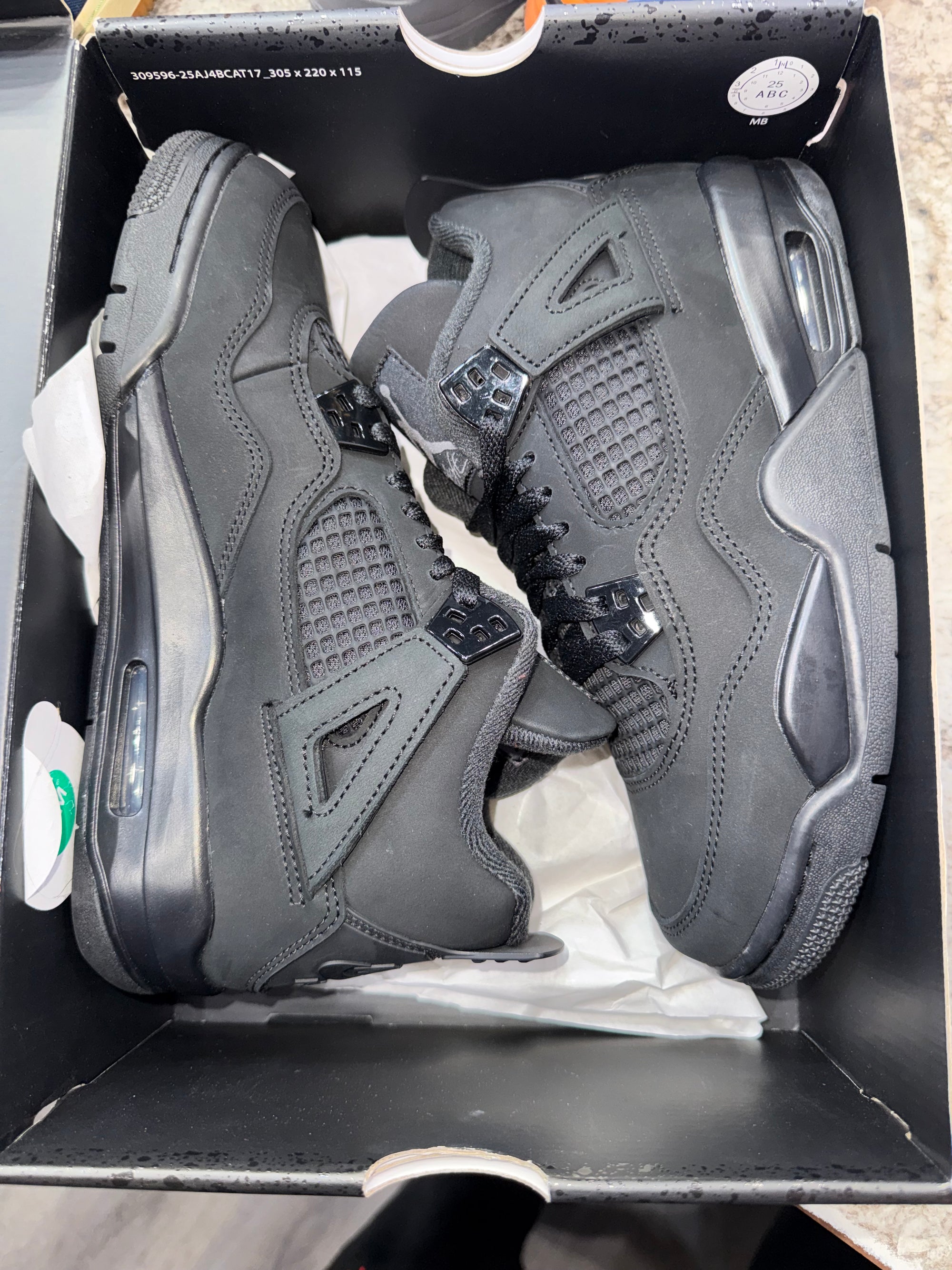 Jordan 4 Retro Black Cat (2025) (GS)