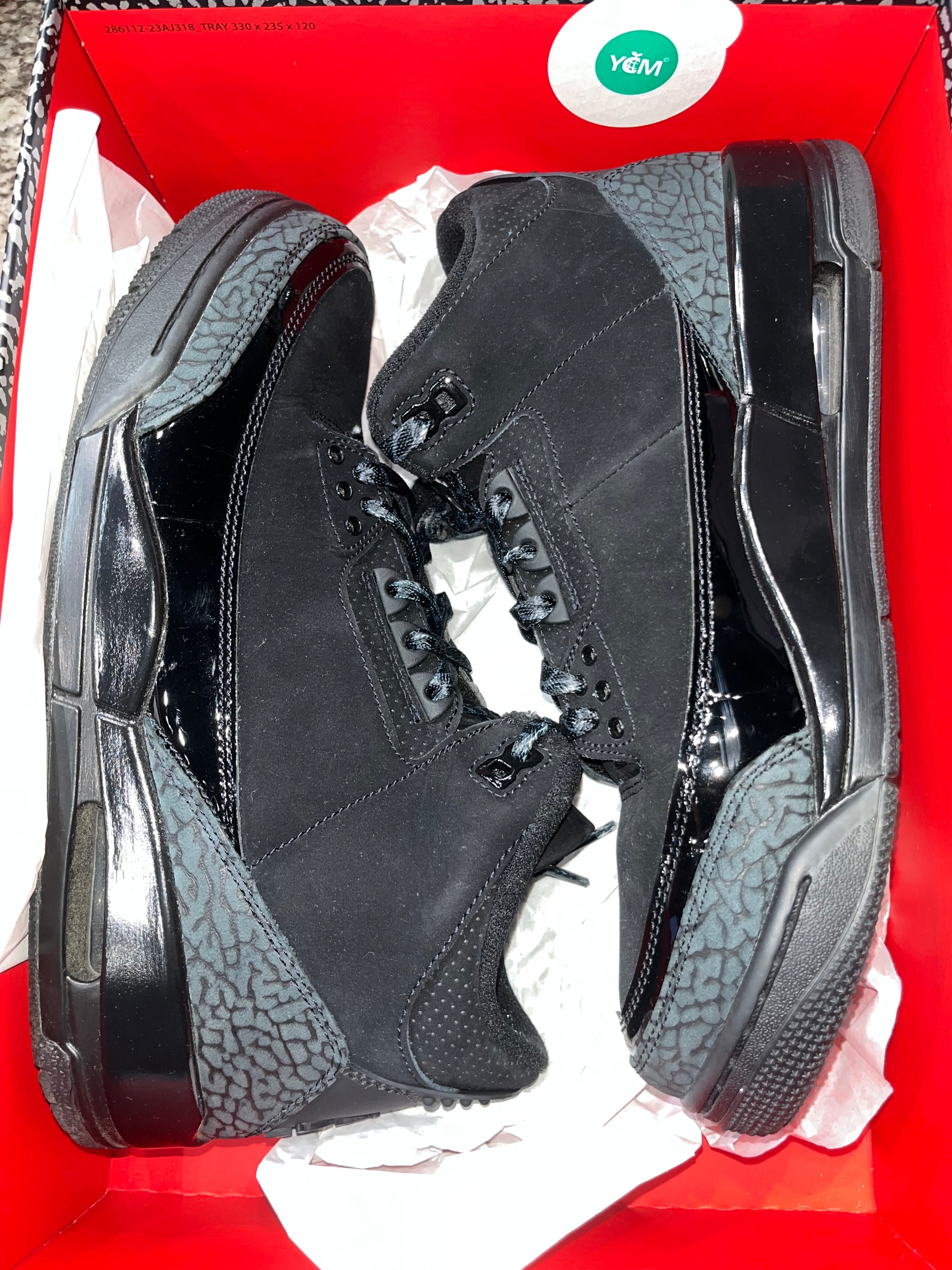 Jordan 3 Retro Black Cat (2025)
