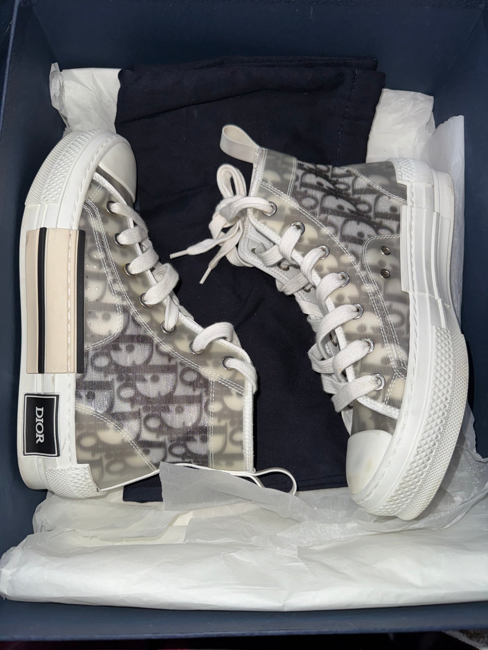 Dior B23 High Top Logo Oblique