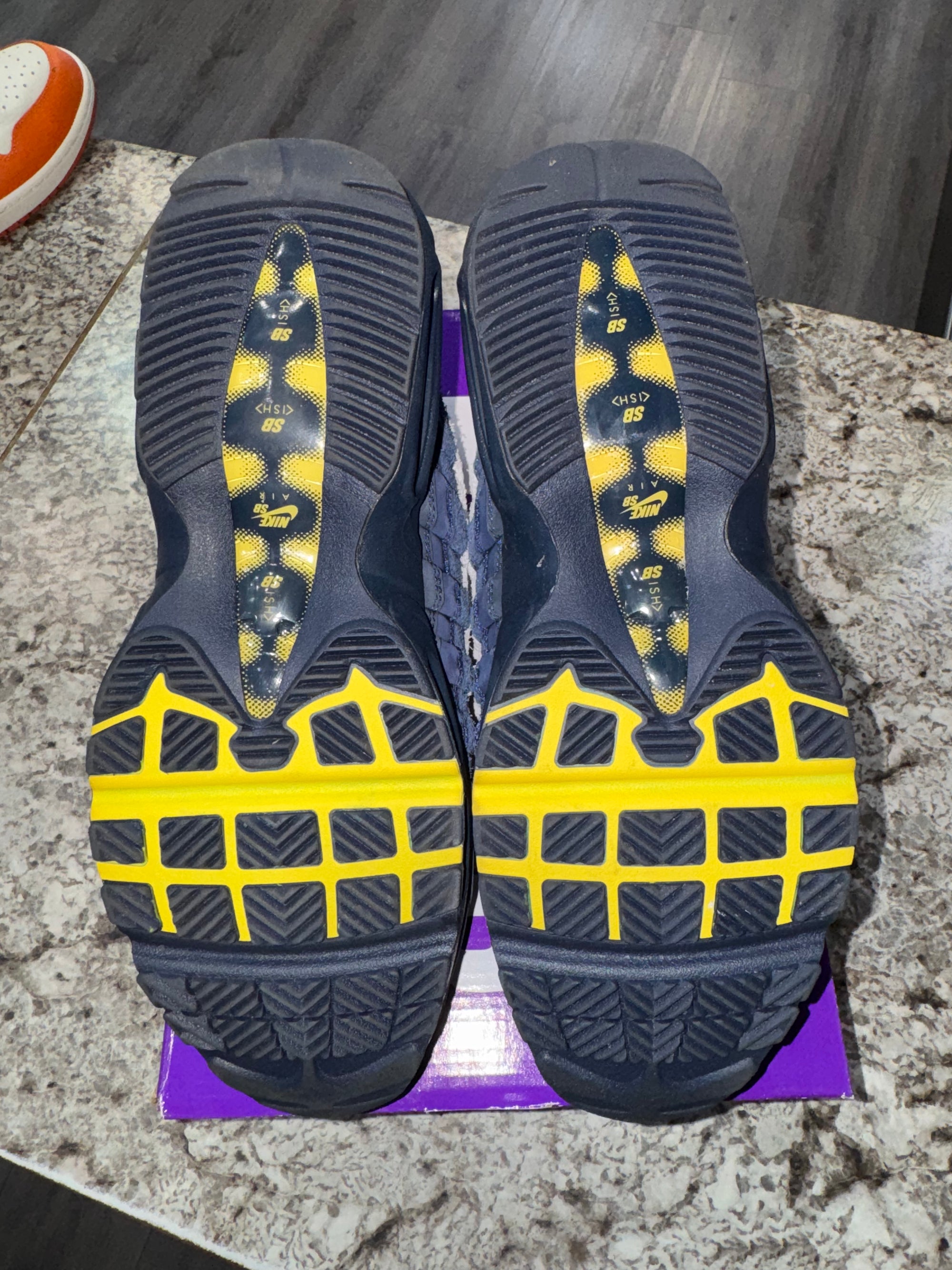 Nike Air Max 95 SB Eric Koston Obsidian Speed Yellow