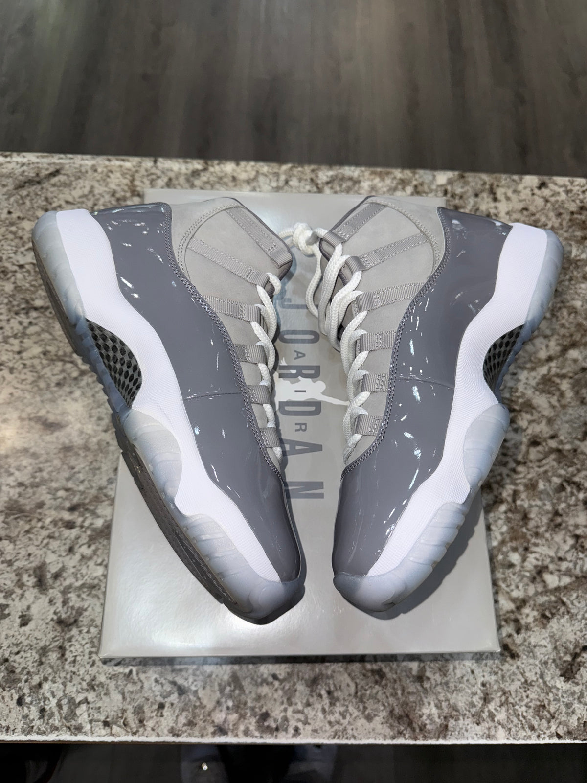 Jordan 11 Retro Cool Grey (2021)
