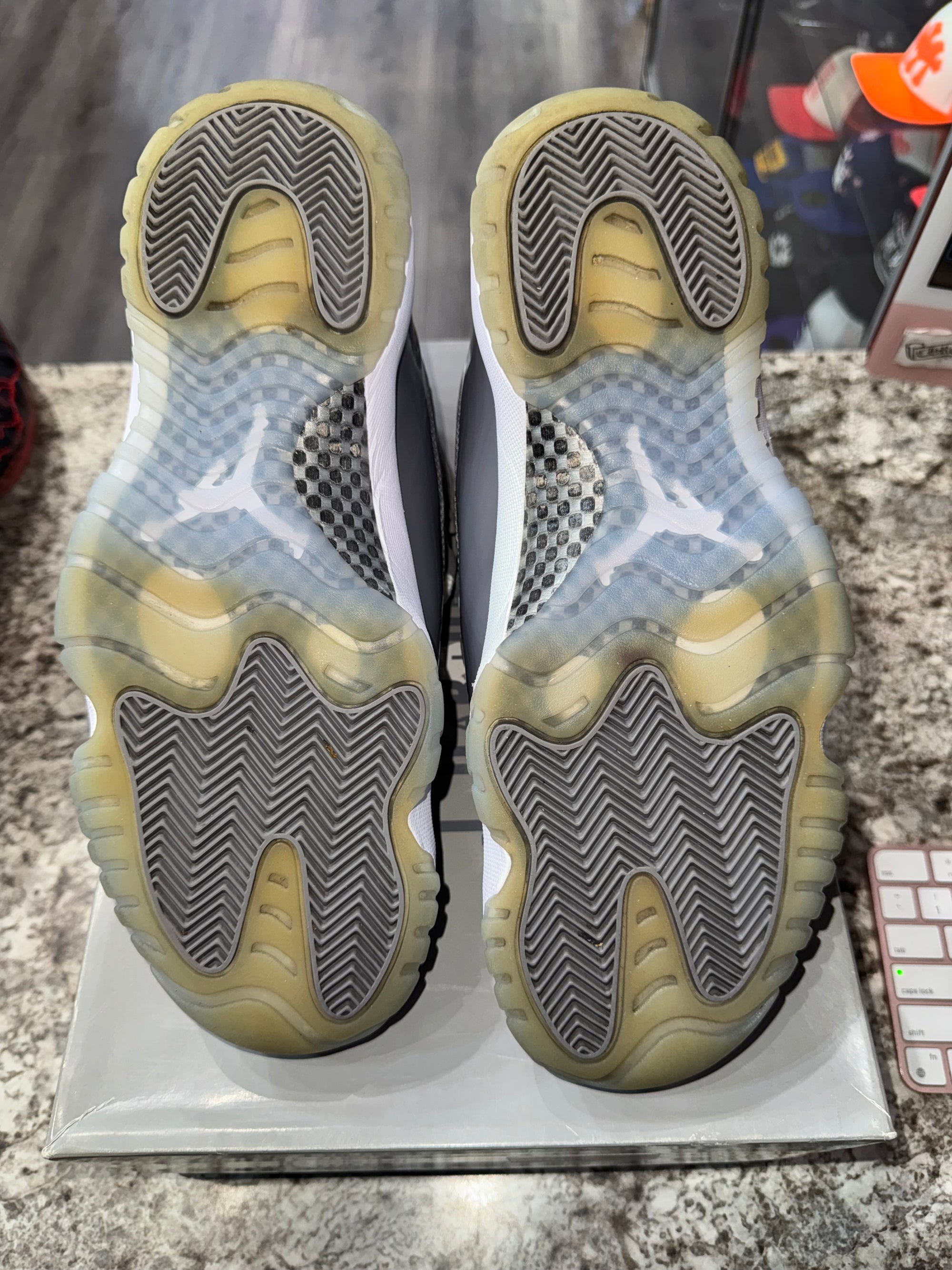 Jordan 11 Retro Cool Grey (2021)