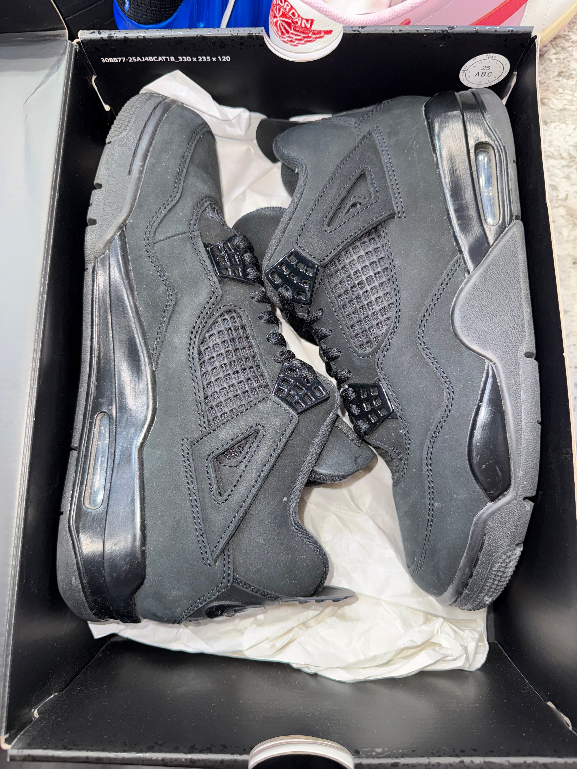 Jordan 4 Retro Black Cat (2025)