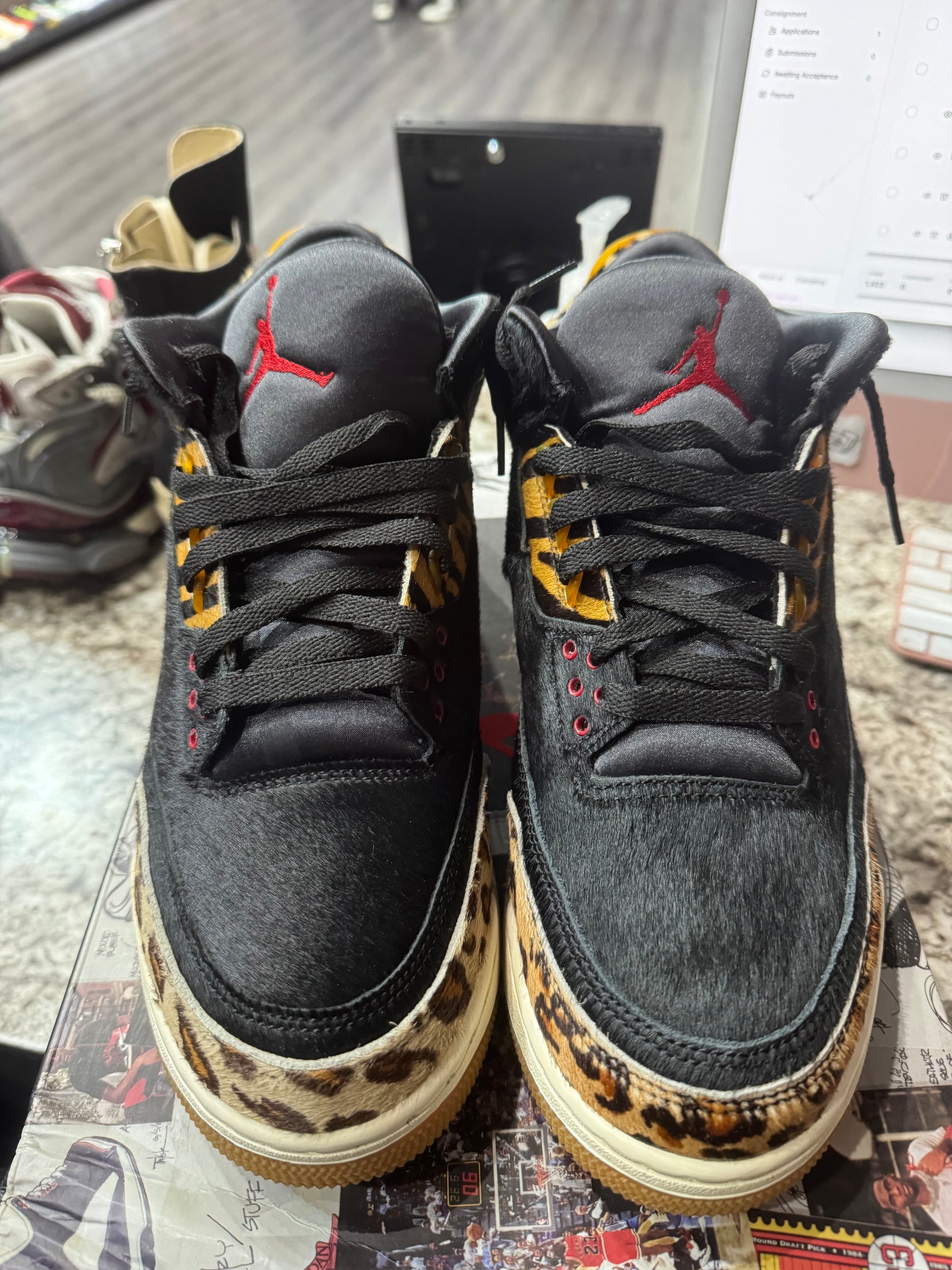 Jordan 3 Retro SE Animal Instinct