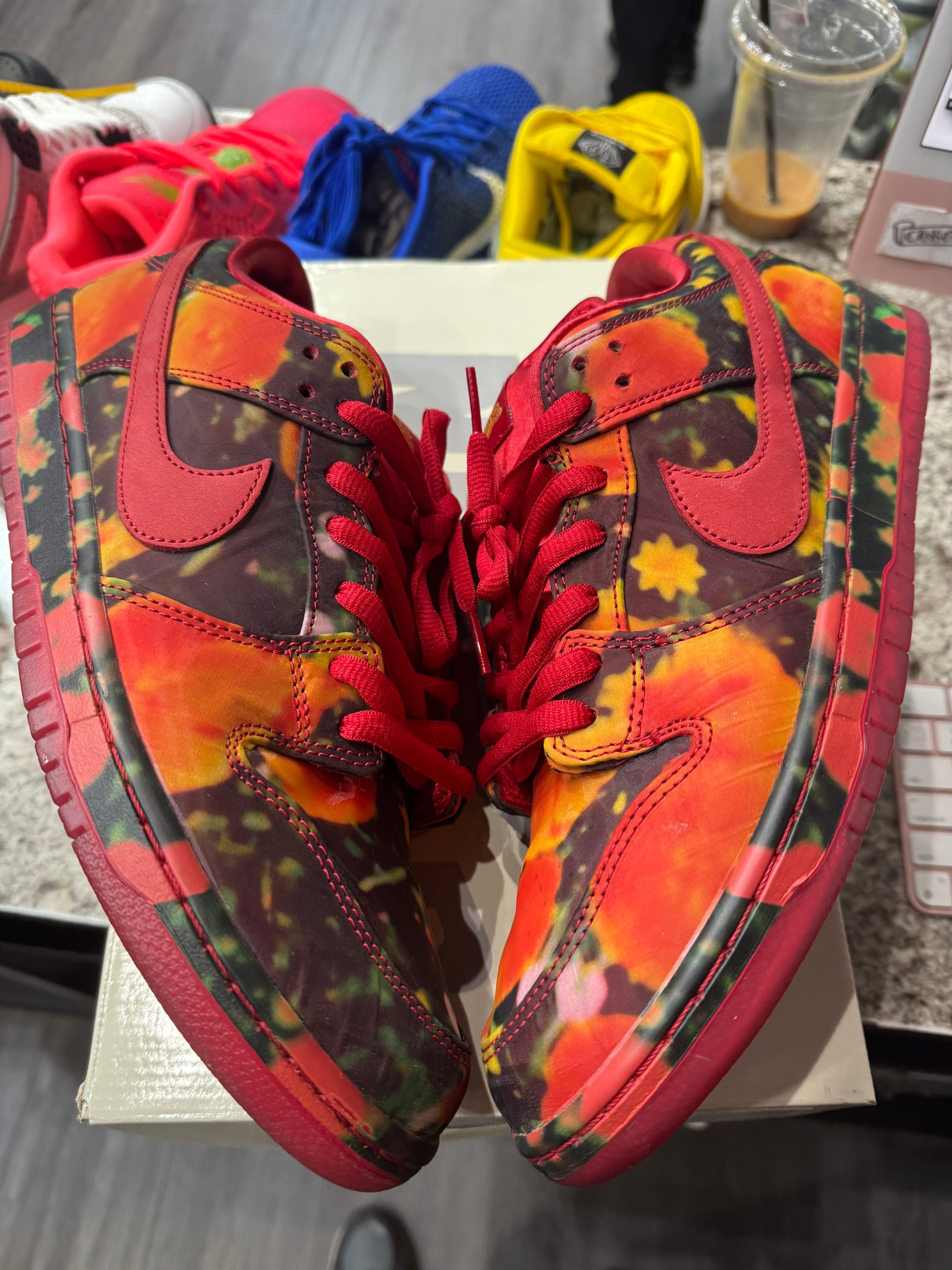 Nike SB Dunk Low The Wizard of Oz Poppy Field